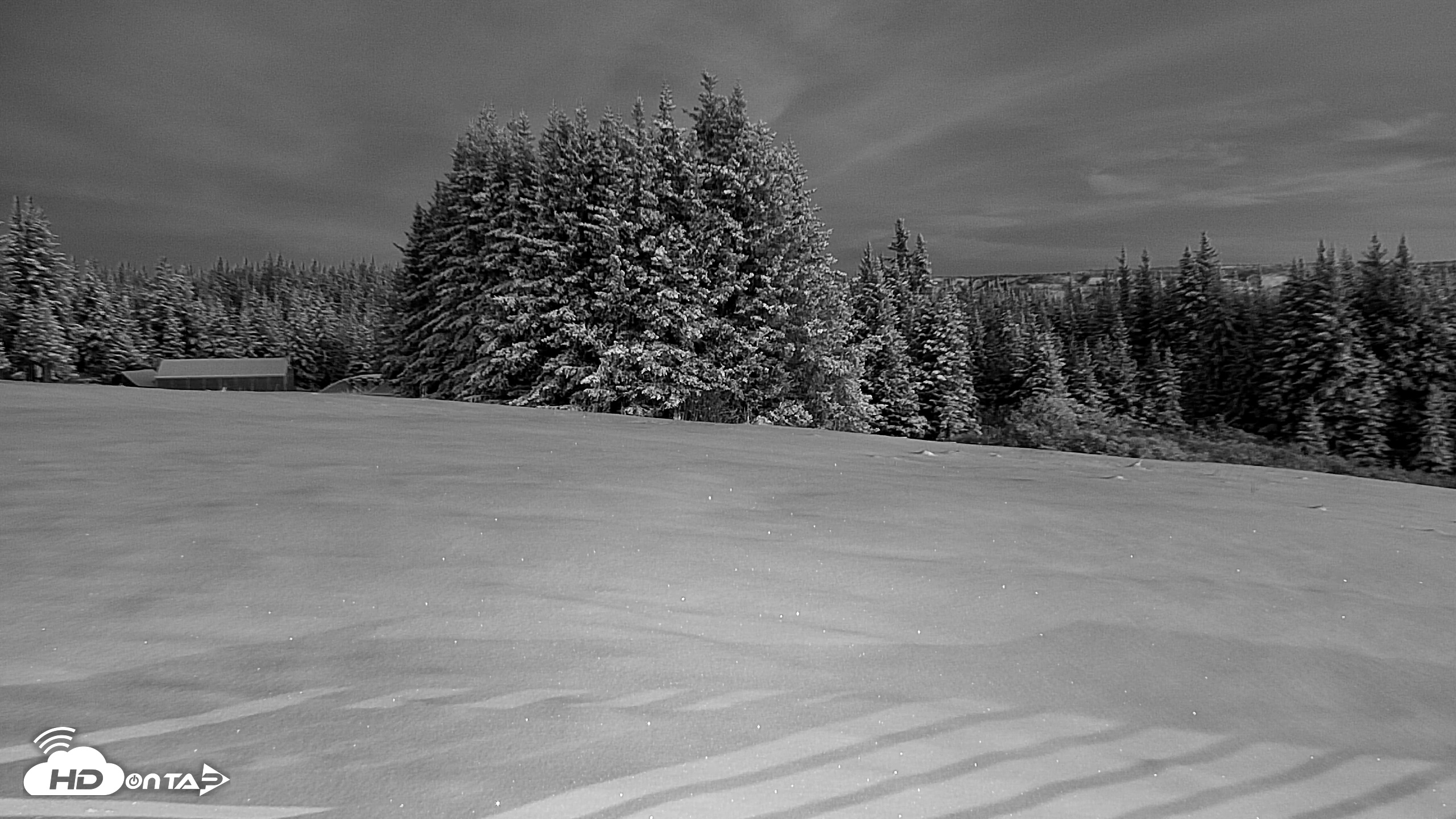 Snapshot of Inspiration Ridge - Homer Alaska Live Webcam taken Nov 22, 2025, 8:26am AKST