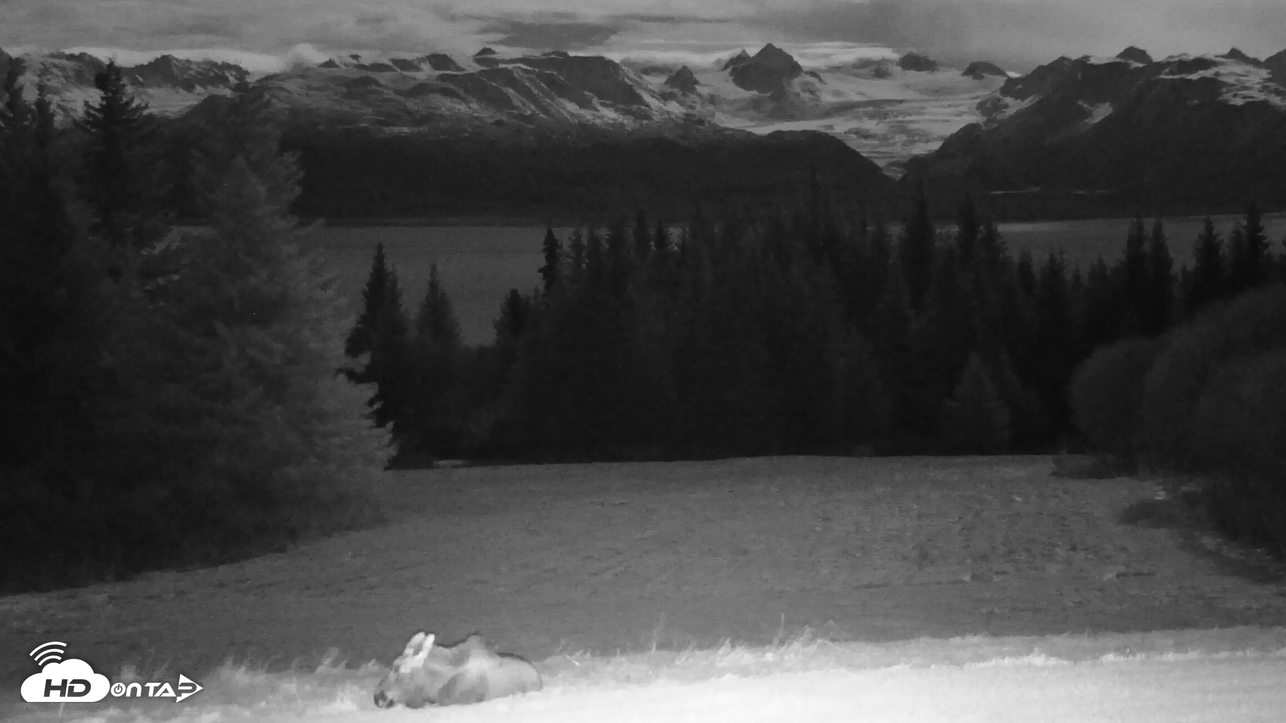 Snapshot of Inspiration Ridge - Homer Alaska Live Webcam taken Nov 3, 2025, 9:20pm AKST