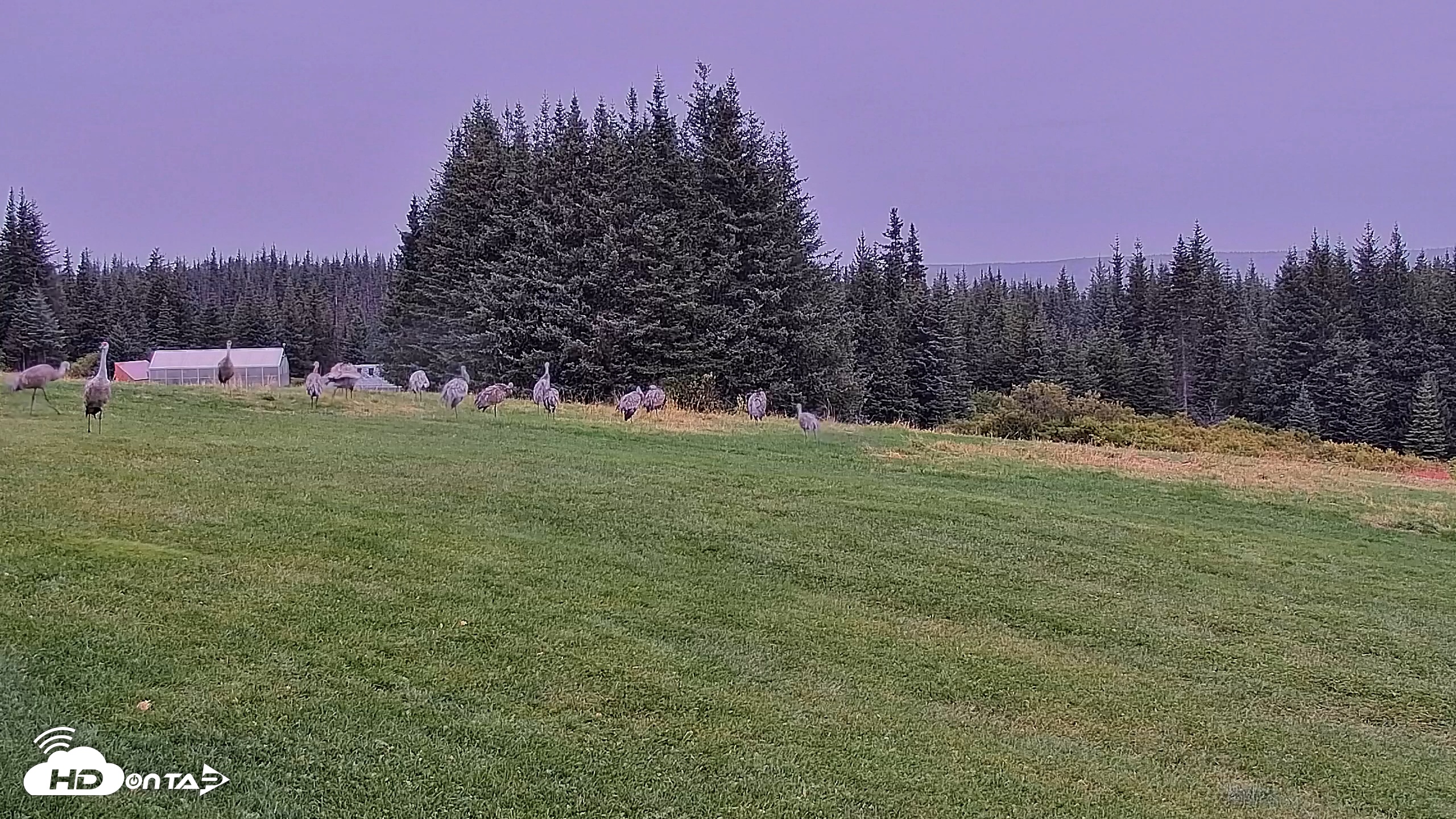 Snapshot of Inspiration Ridge - Homer Alaska Live Webcam taken Sep 10, 2025, 11:45am AKDT