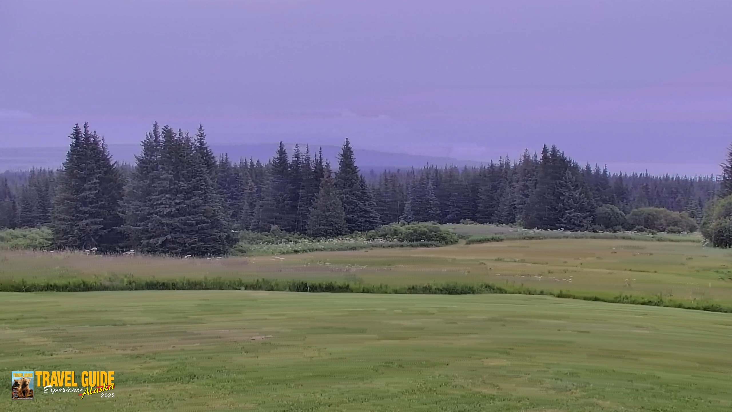Snapshot of Inspiration Ridge - Homer Alaska Live Webcam taken Aug 5, 2026, 1:37pm AKDT