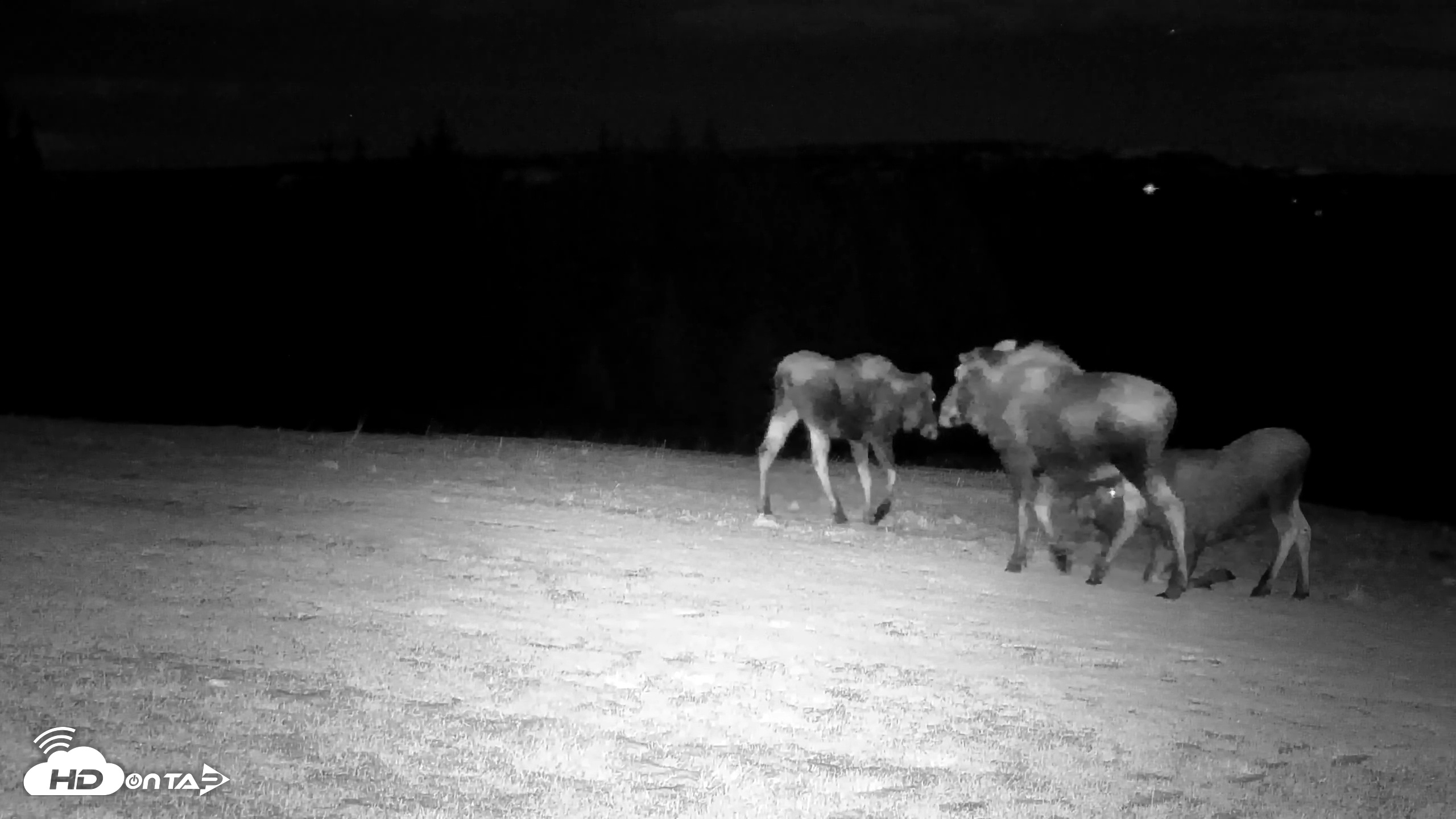 Snapshot of Inspiration Ridge - Homer Alaska Live Webcam taken Dec 2, 2025, 6:58pm AKST