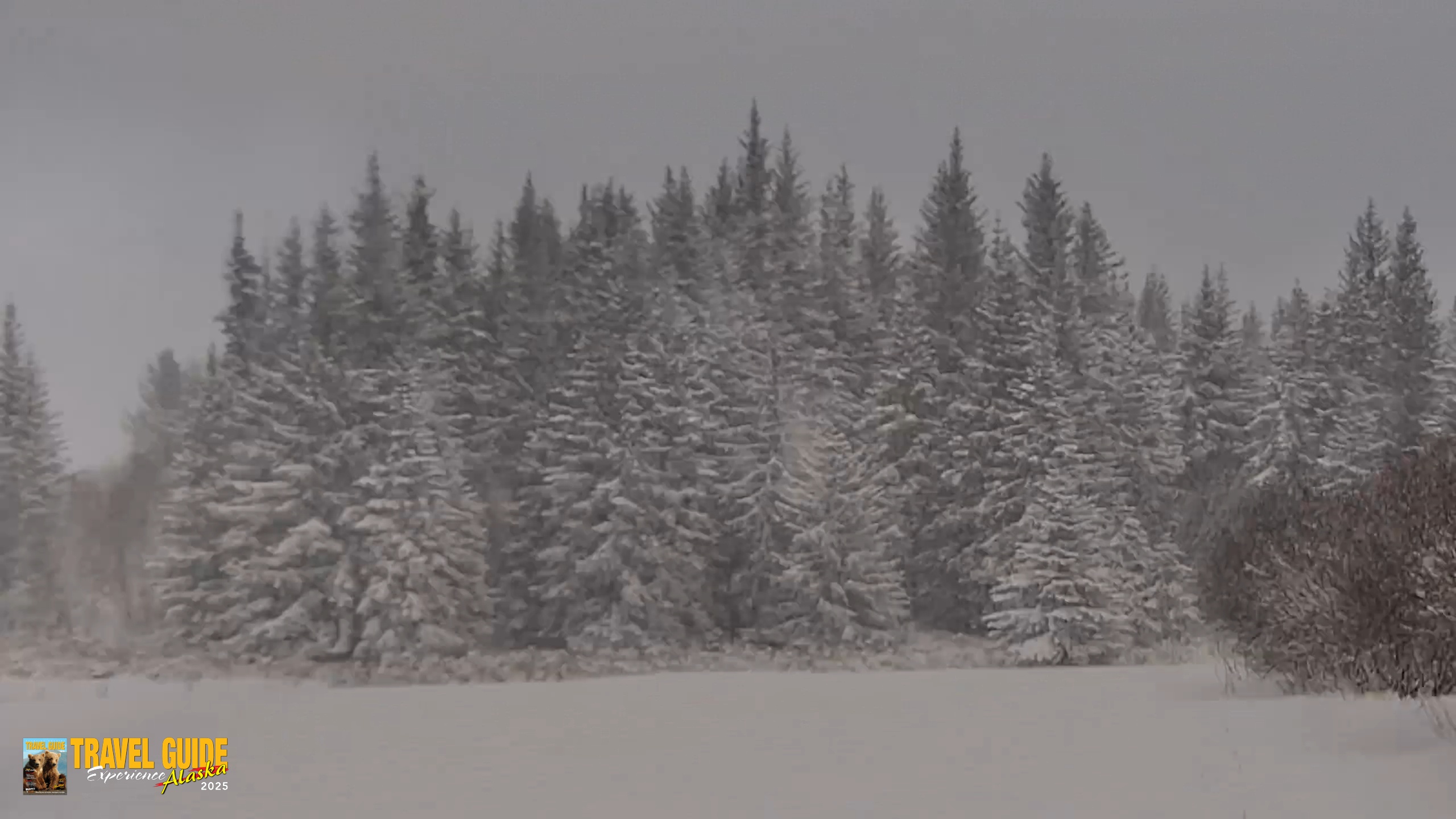Snapshot of Inspiration Ridge - Homer Alaska Live Webcam taken Jan 10, 2026, 4:20pm AKST
