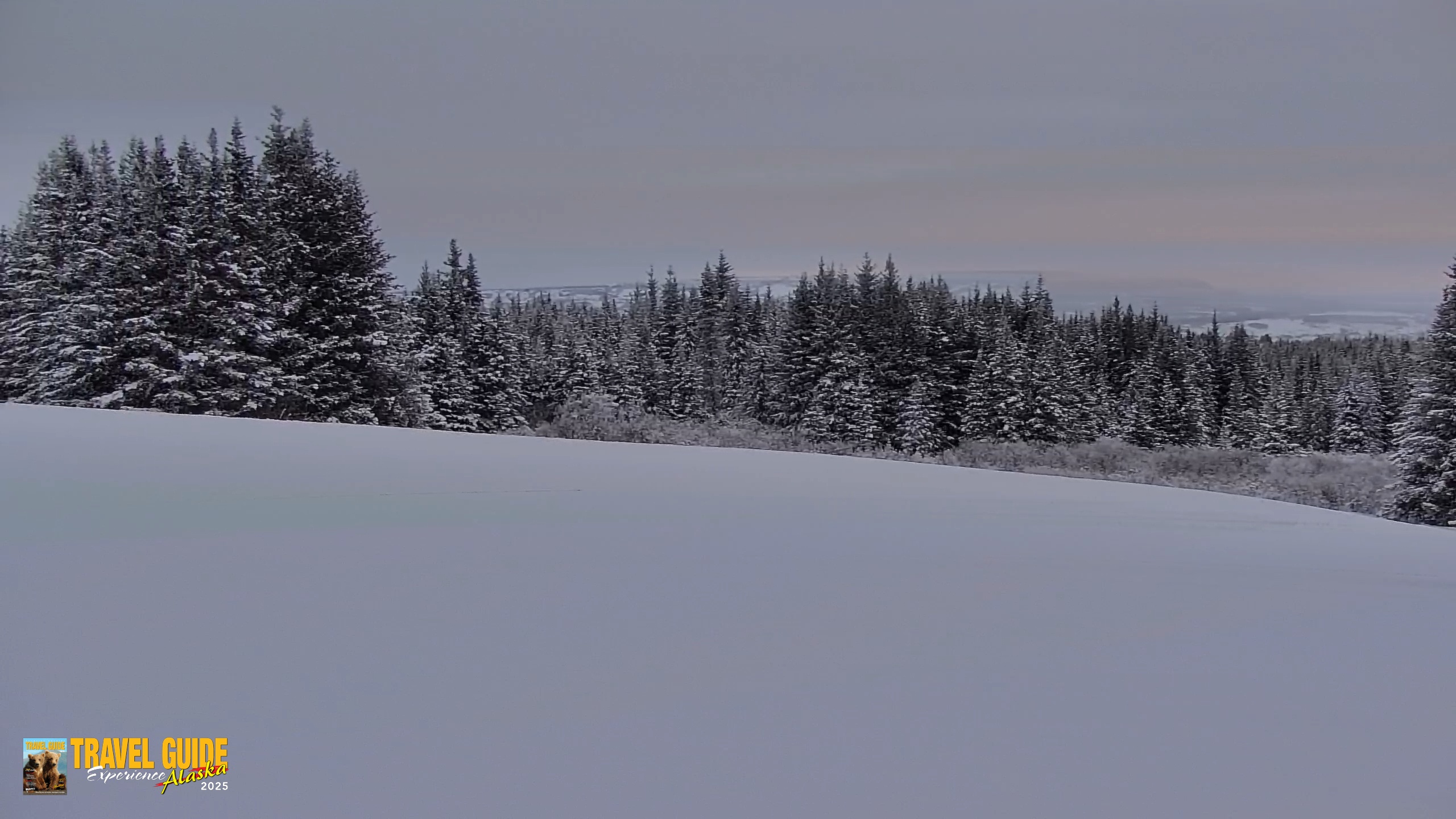Snapshot of Inspiration Ridge - Homer Alaska Live Webcam taken Jan 14, 2026, 4:13pm AKST