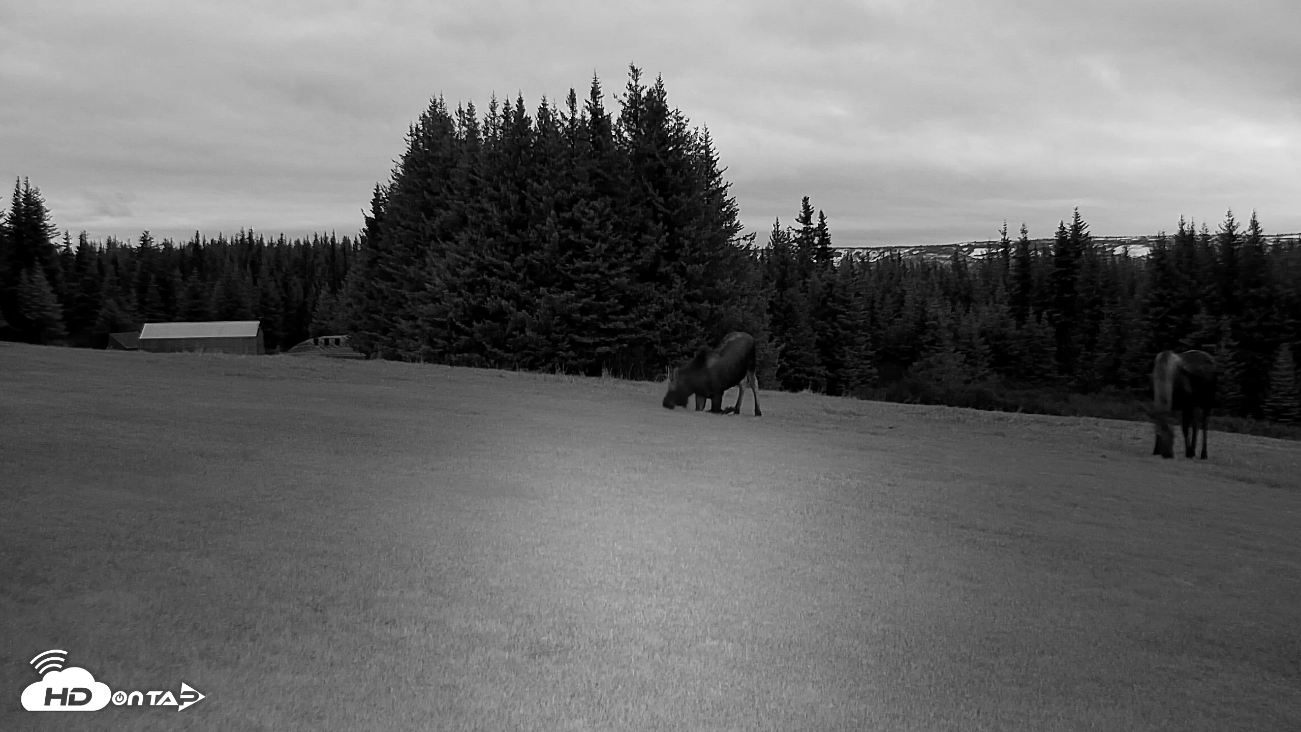 Snapshot of Inspiration Ridge - Homer Alaska Live Webcam taken Nov 2, 2025, 9:05am AKST