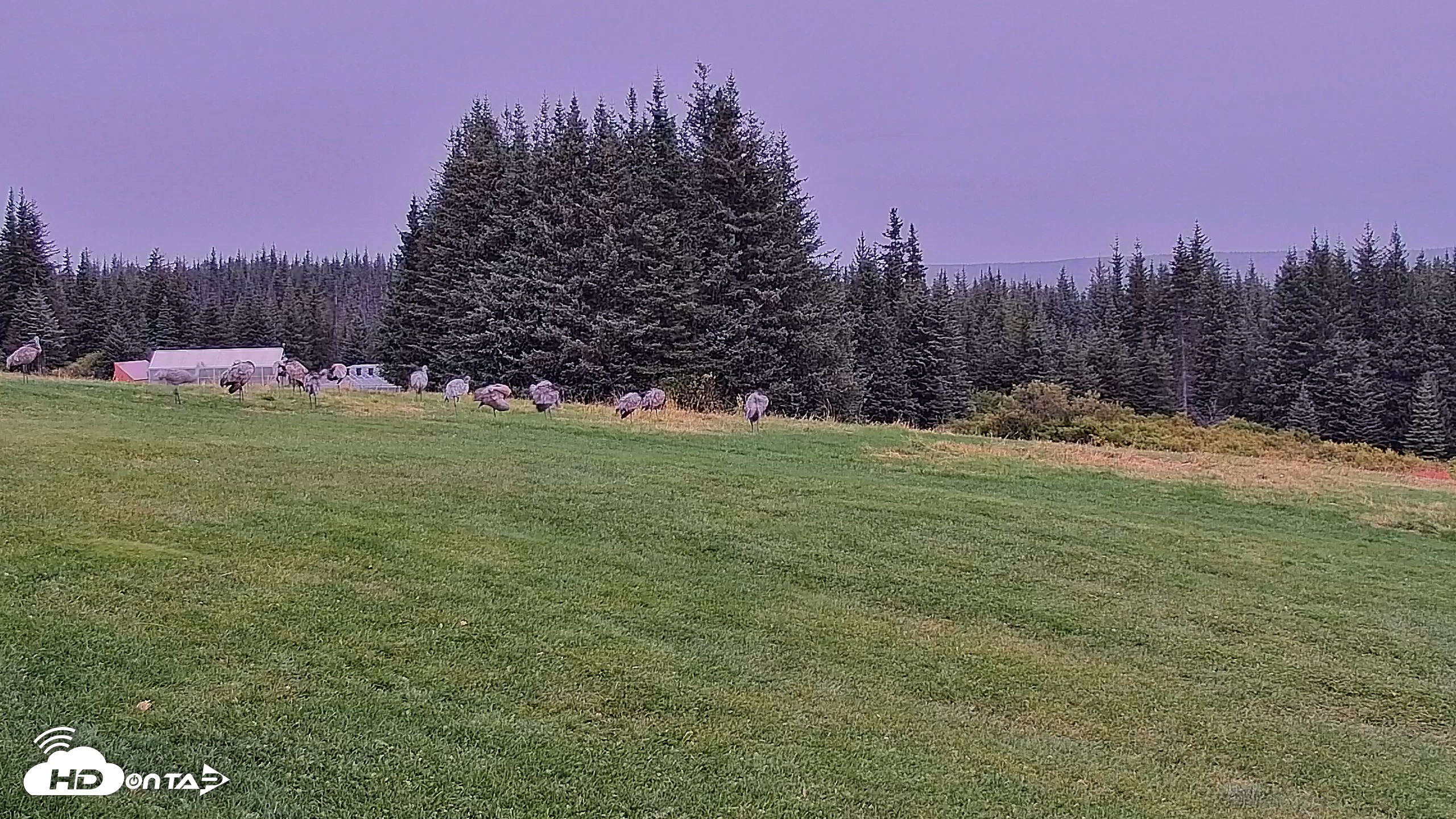 Snapshot of Inspiration Ridge - Homer Alaska Live Webcam taken Sep 10, 2025, 11:50am AKDT