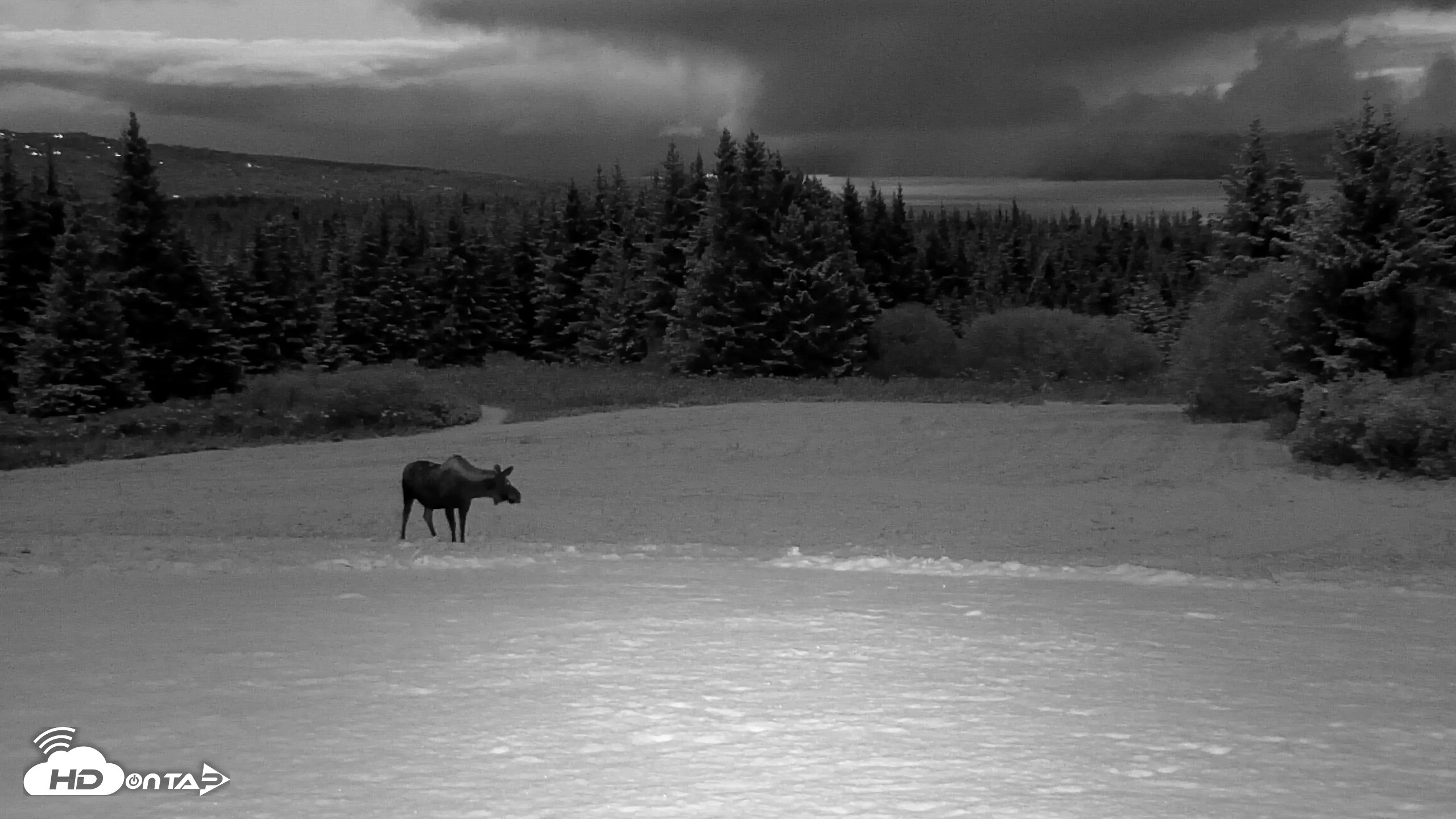 Snapshot of Inspiration Ridge - Homer Alaska Live Webcam taken Nov 4, 2025, 6:01pm AKST