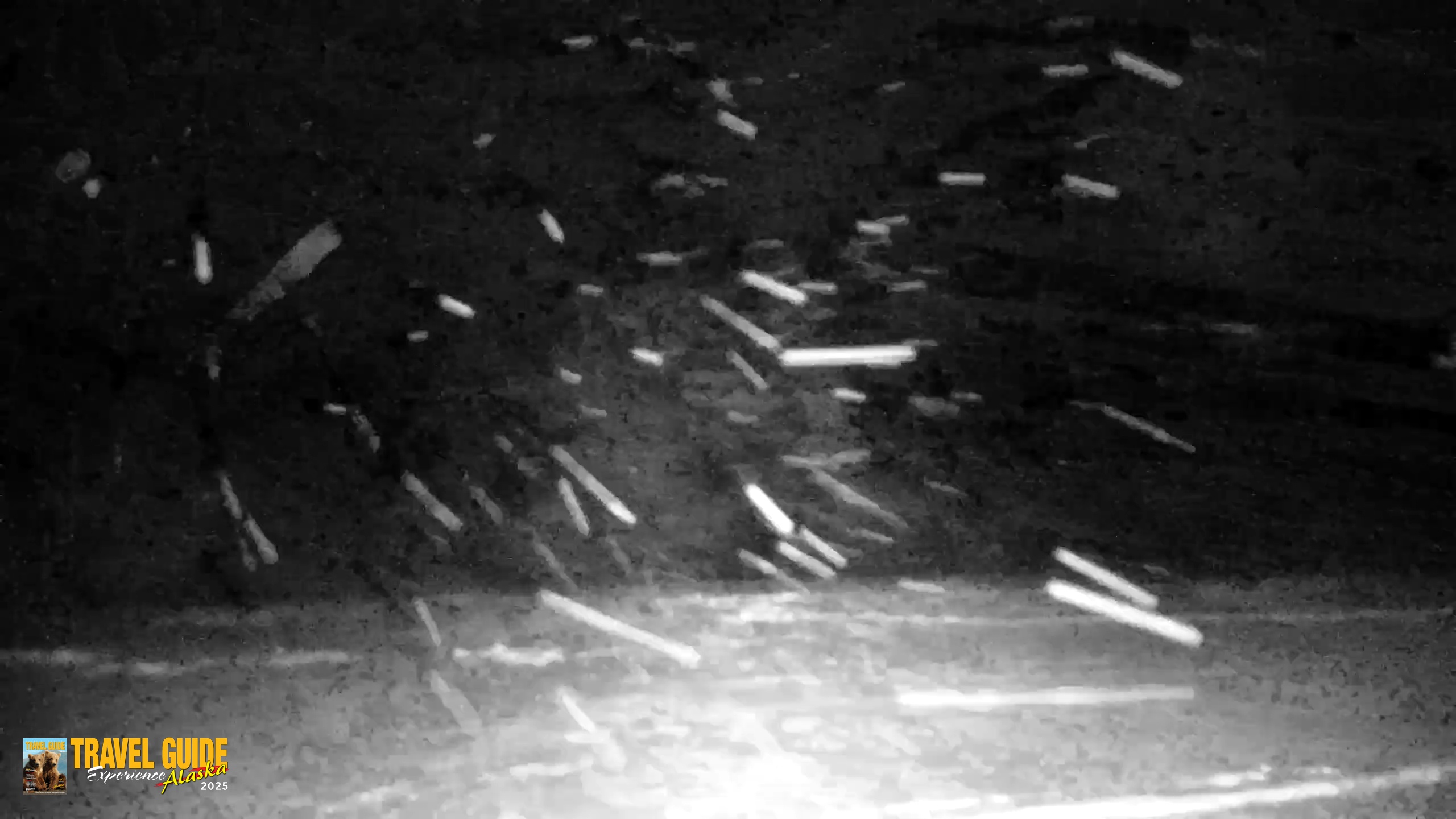 Snapshot of Inspiration Ridge - Homer Alaska Live Webcam taken Jan 15, 2026, 2:23am AKST