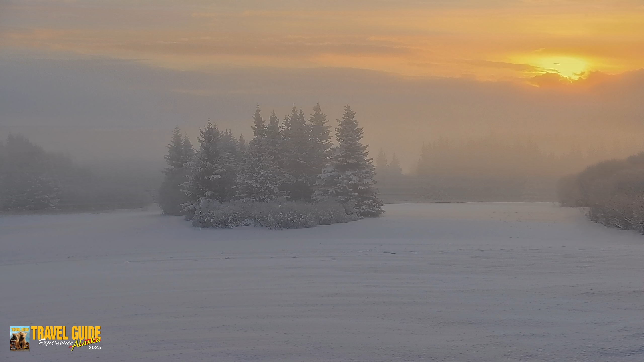 Snapshot of Inspiration Ridge - Homer Alaska Live Webcam taken Feb 12, 2026, 9:18am AKST