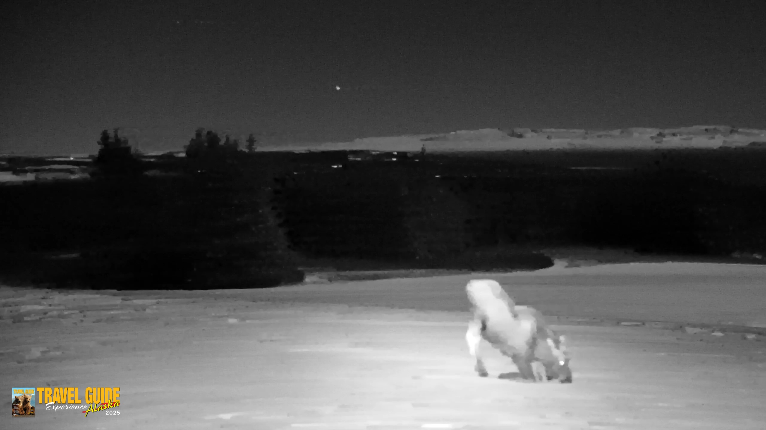 Snapshot of Inspiration Ridge - Homer Alaska Live Webcam taken Jan 3, 2026, 12:44am AKST