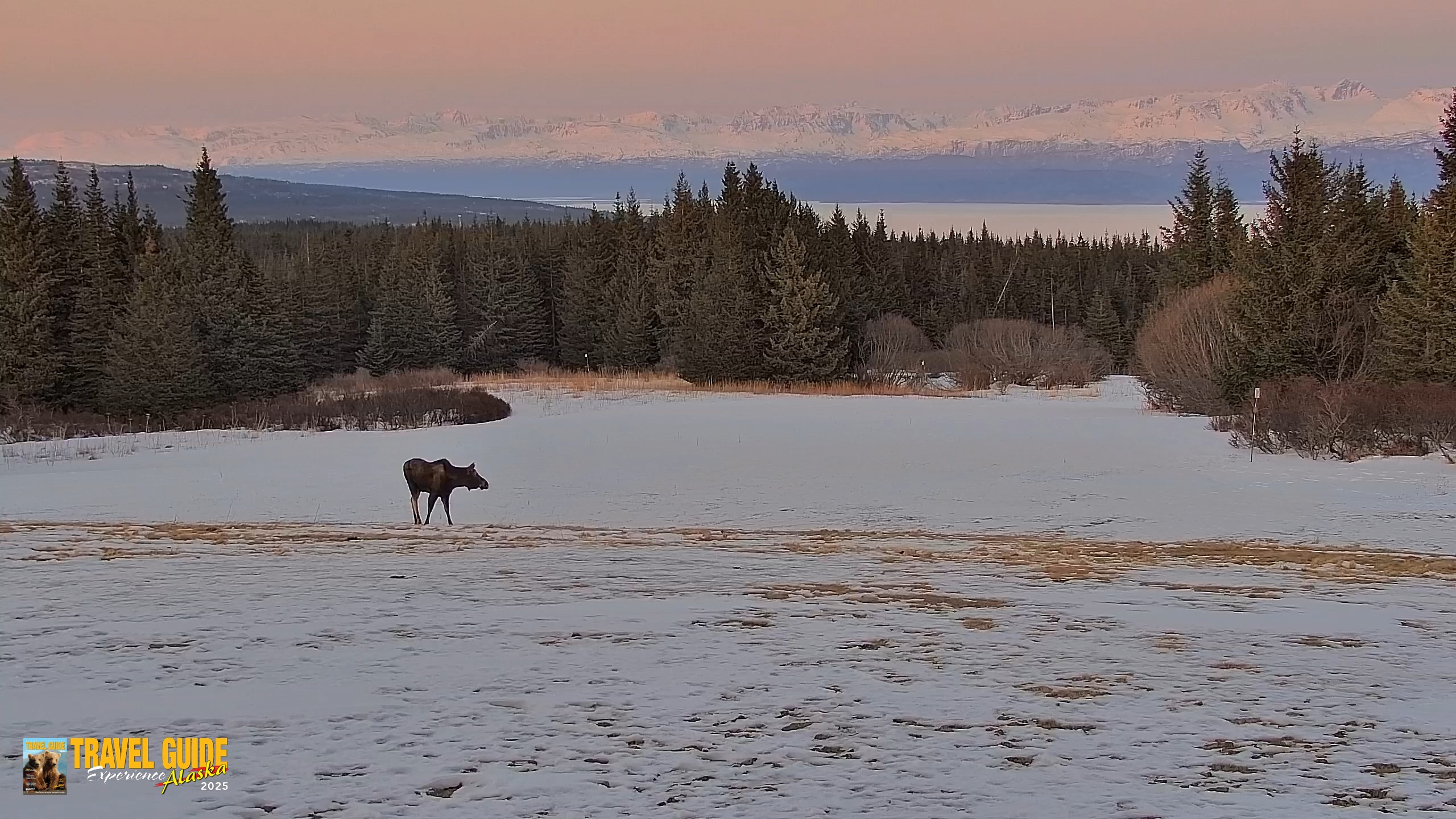 Snapshot of Inspiration Ridge - Homer Alaska Live Webcam taken Apr 1, 2026, 9:52pm AKDT