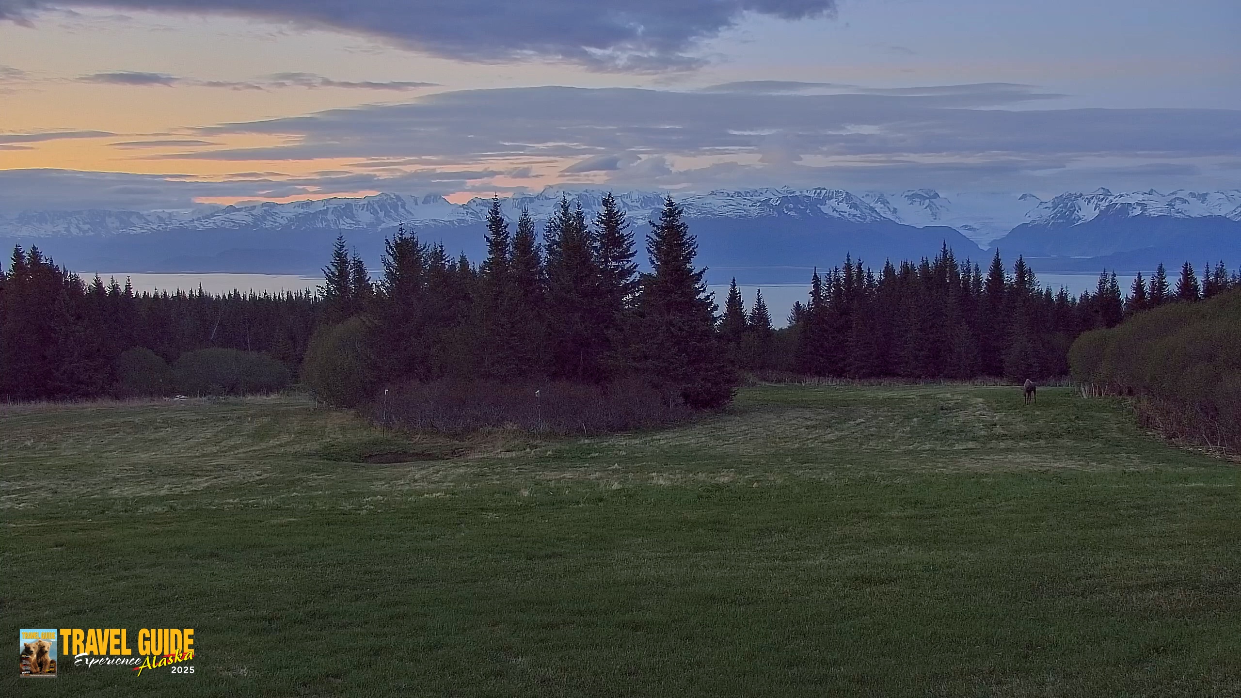 Snapshot of Inspiration Ridge - Homer Alaska Live Webcam taken Jun 9, 2026, 4:03am AKDT