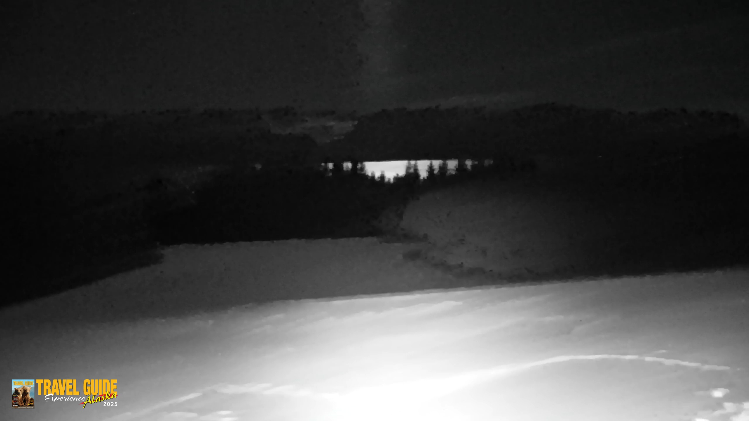 Snapshot of Inspiration Ridge - Homer Alaska Live Webcam taken Jan 8, 2026, 1:50am AKST