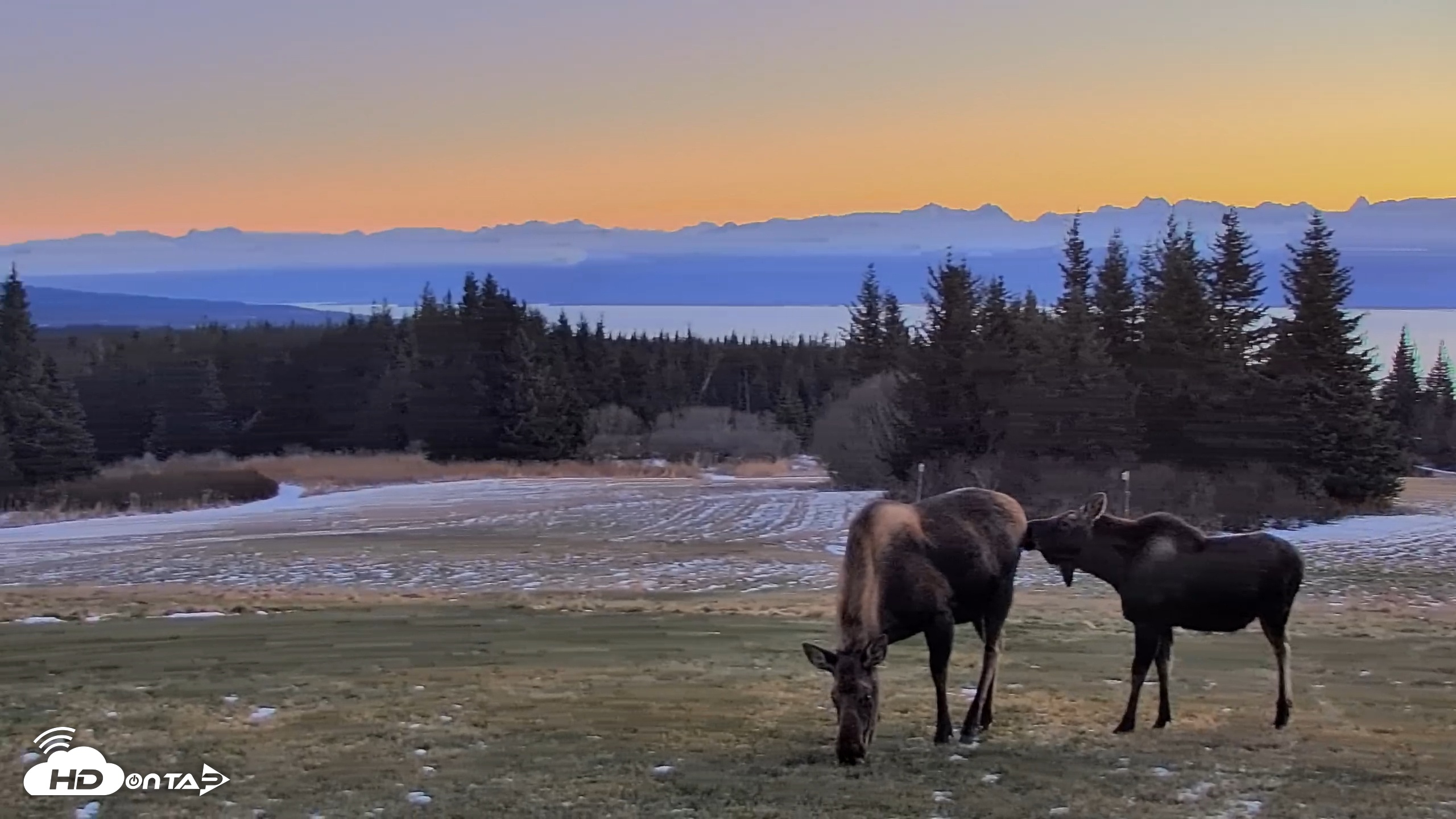 Snapshot of Inspiration Ridge - Homer Alaska Live Webcam taken Dec 11, 2025, 2:57pm AKST