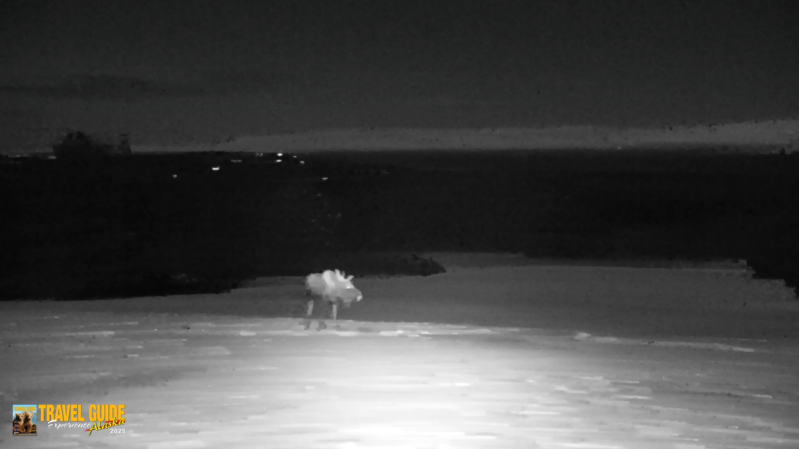 Snapshot of Inspiration Ridge - Homer Alaska Live Webcam taken Dec 31, 2025, 2:53am AKST