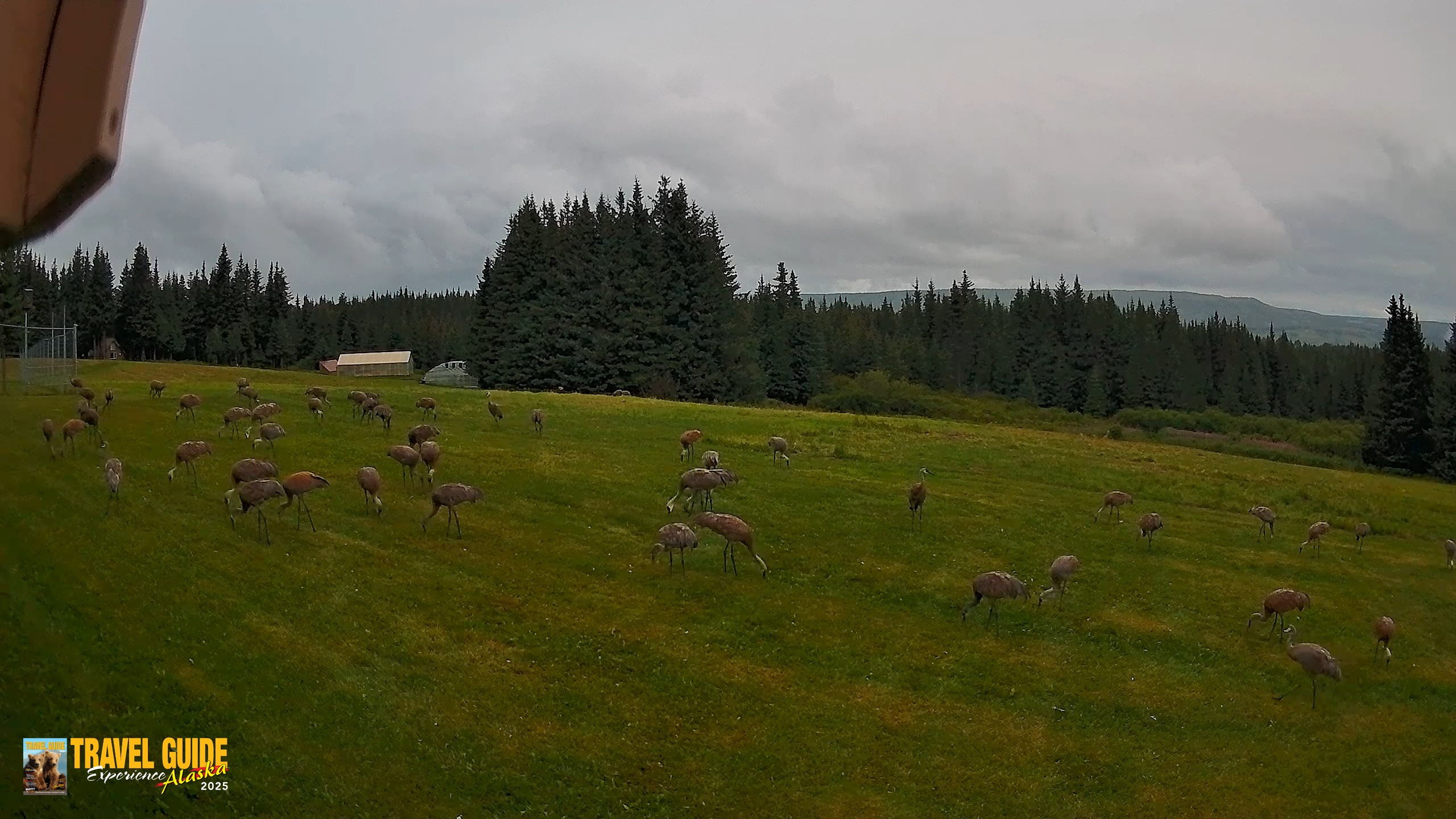 Snapshot of Inspiration Ridge - Homer Alaska Live Webcam taken Aug 22, 2026, 8:25pm AKDT