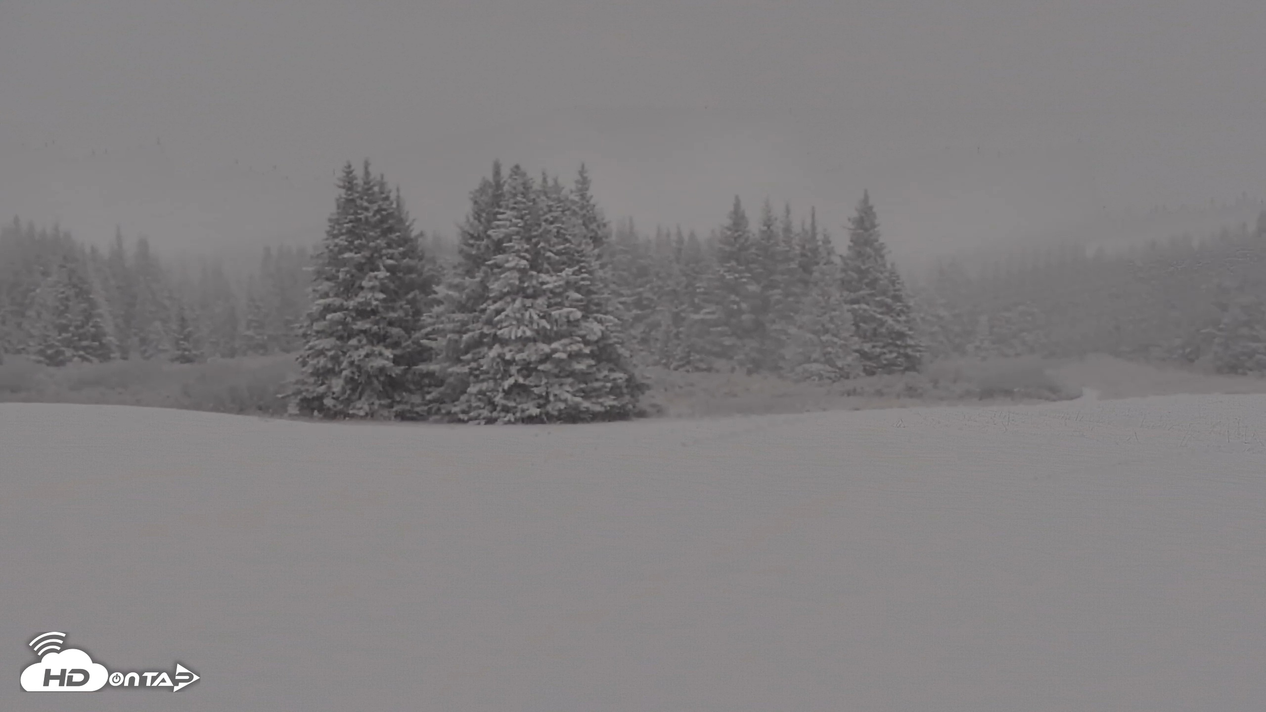 Snapshot of Inspiration Ridge - Homer Alaska Live Webcam taken Nov 21, 2025, 2:55pm AKST