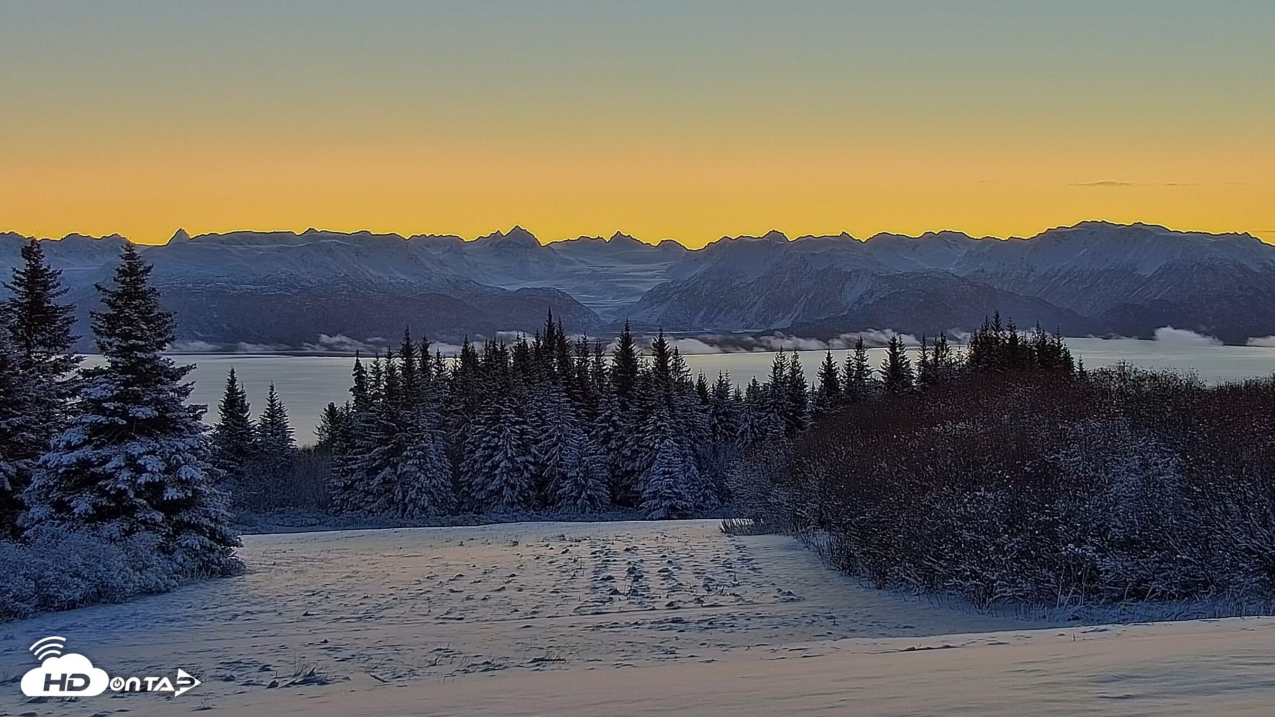Snapshot of Inspiration Ridge - Homer Alaska Live Webcam taken Nov 23, 2025, 8:47am AKST