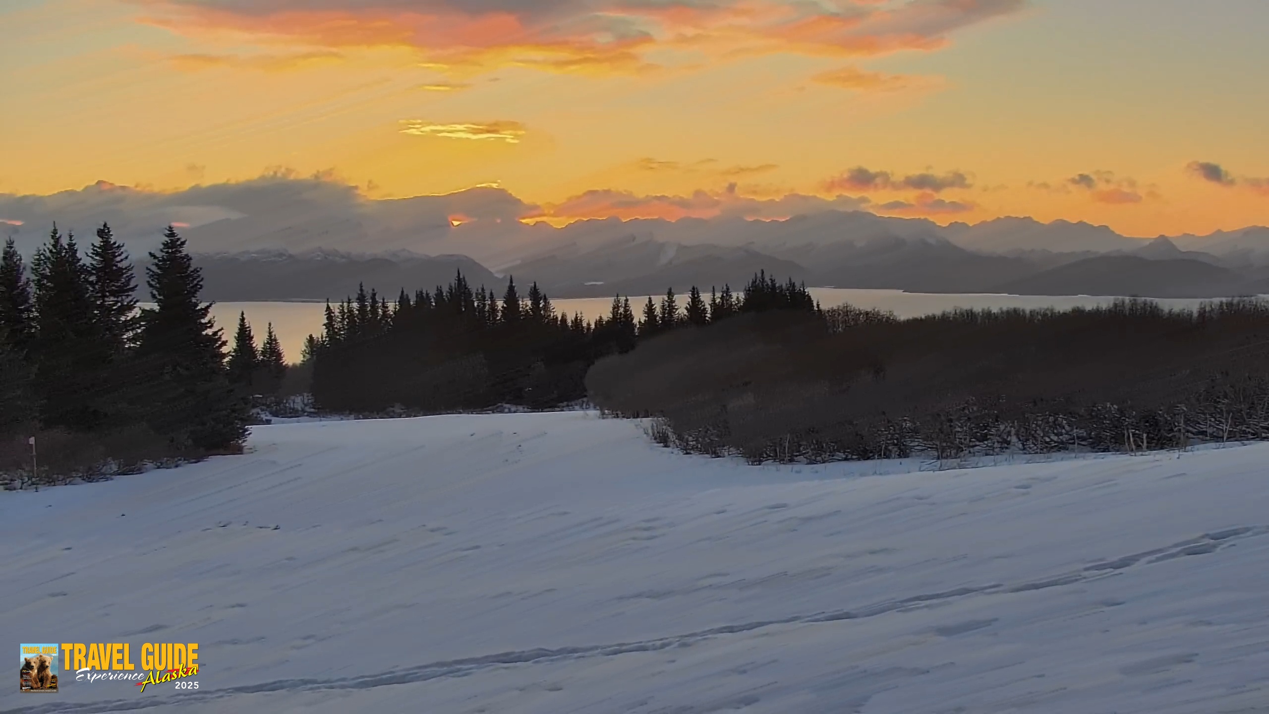 Snapshot of Inspiration Ridge - Homer Alaska Live Webcam taken Feb 15, 2026, 8:54am AKST