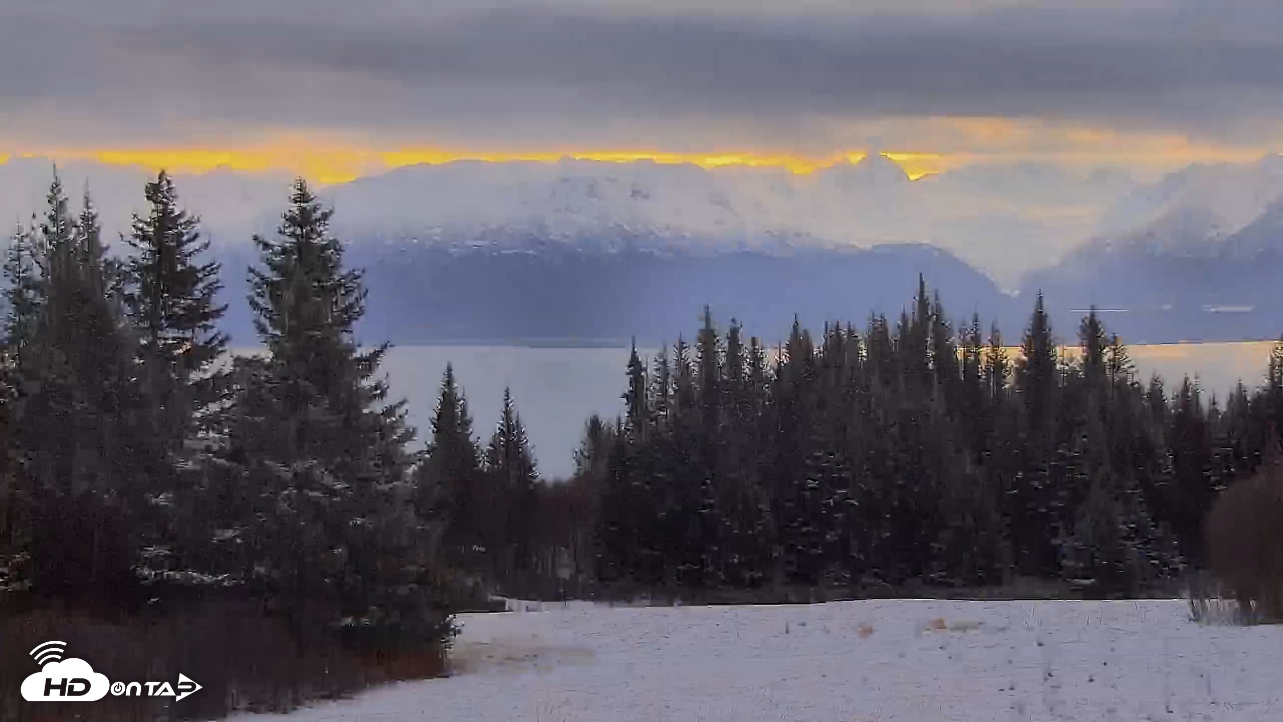Snapshot of Inspiration Ridge - Homer Alaska Live Webcam taken Nov 18, 2025, 8:49am AKST