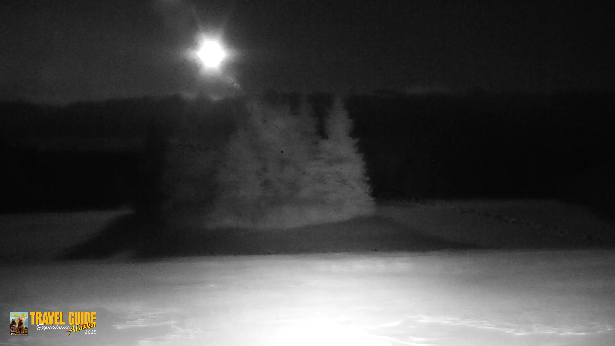 Snapshot of Inspiration Ridge - Homer Alaska Live Webcam taken Jan 8, 2026, 12:14am AKST