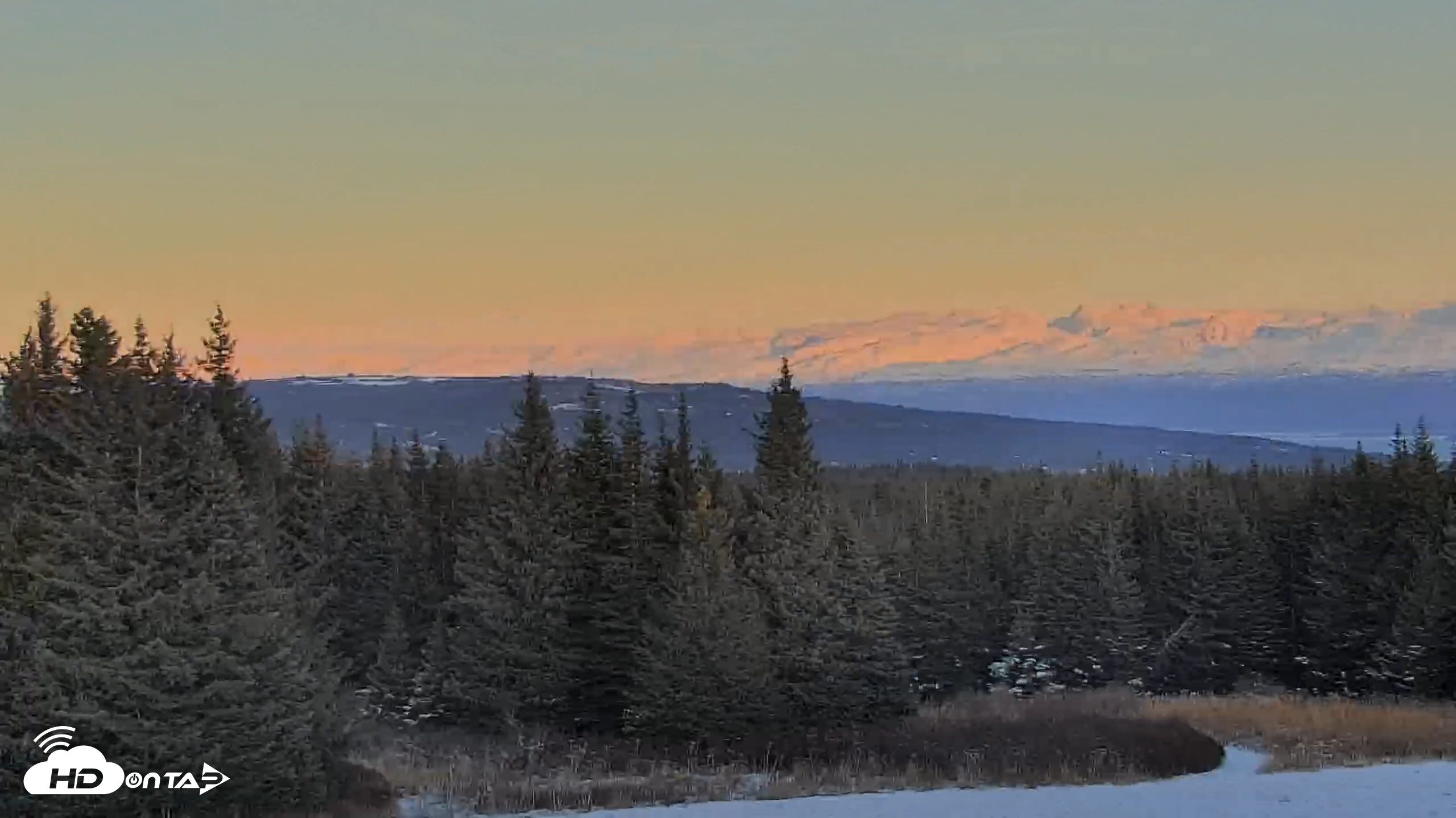 Snapshot of Inspiration Ridge - Homer Alaska Live Webcam taken Nov 19, 2025, 4:04pm AKST