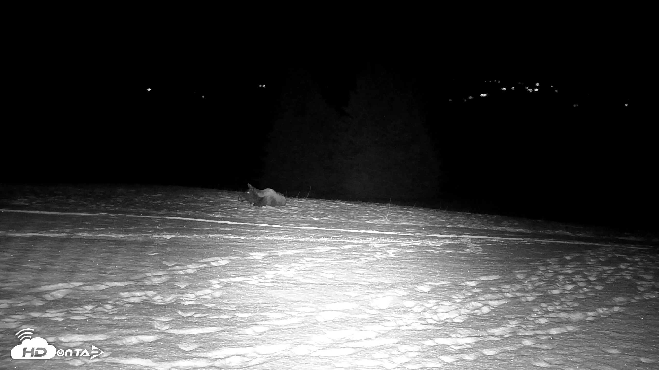 Snapshot of Inspiration Ridge - Homer Alaska Live Webcam taken Nov 17, 2025, 9:03pm AKST