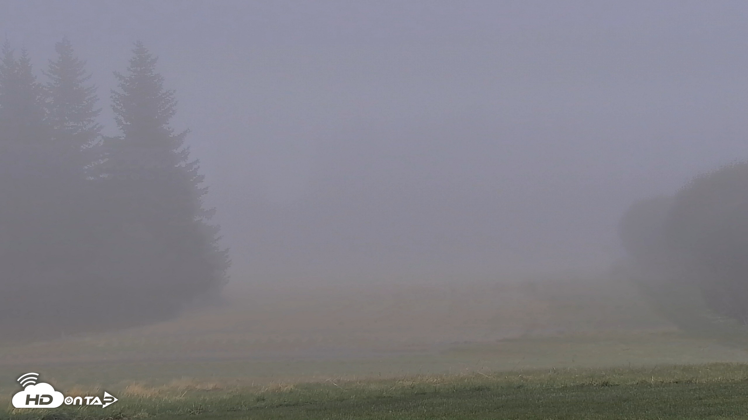 Snapshot of Inspiration Ridge - Homer Alaska Live Webcam taken Oct 23, 2025, 12:32pm AKDT