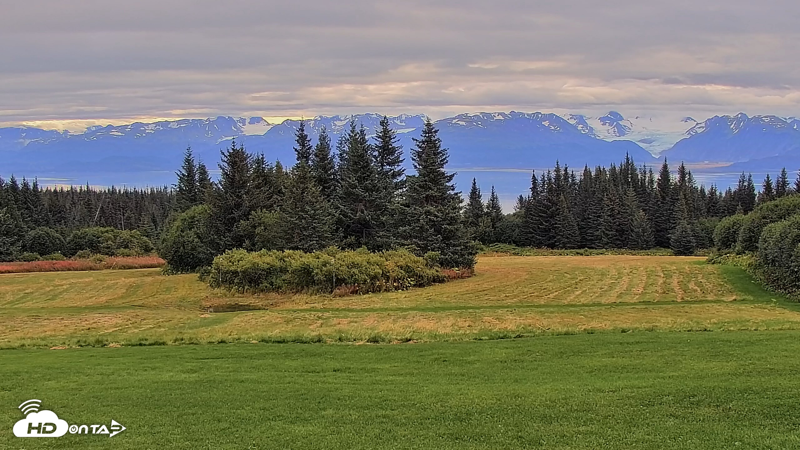 Snapshot of Inspiration Ridge - Homer Alaska Live Webcam taken Sep 2, 2025, 9:03am AKDT