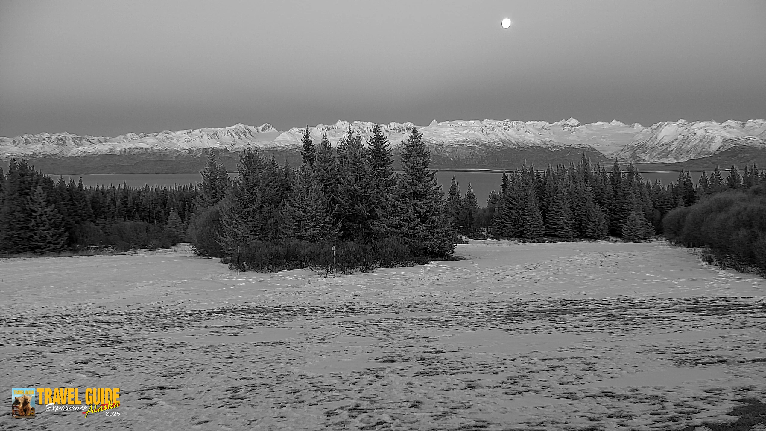 Snapshot of Inspiration Ridge - Homer Alaska Live Webcam taken Mar 31, 2026, 9:04pm AKDT