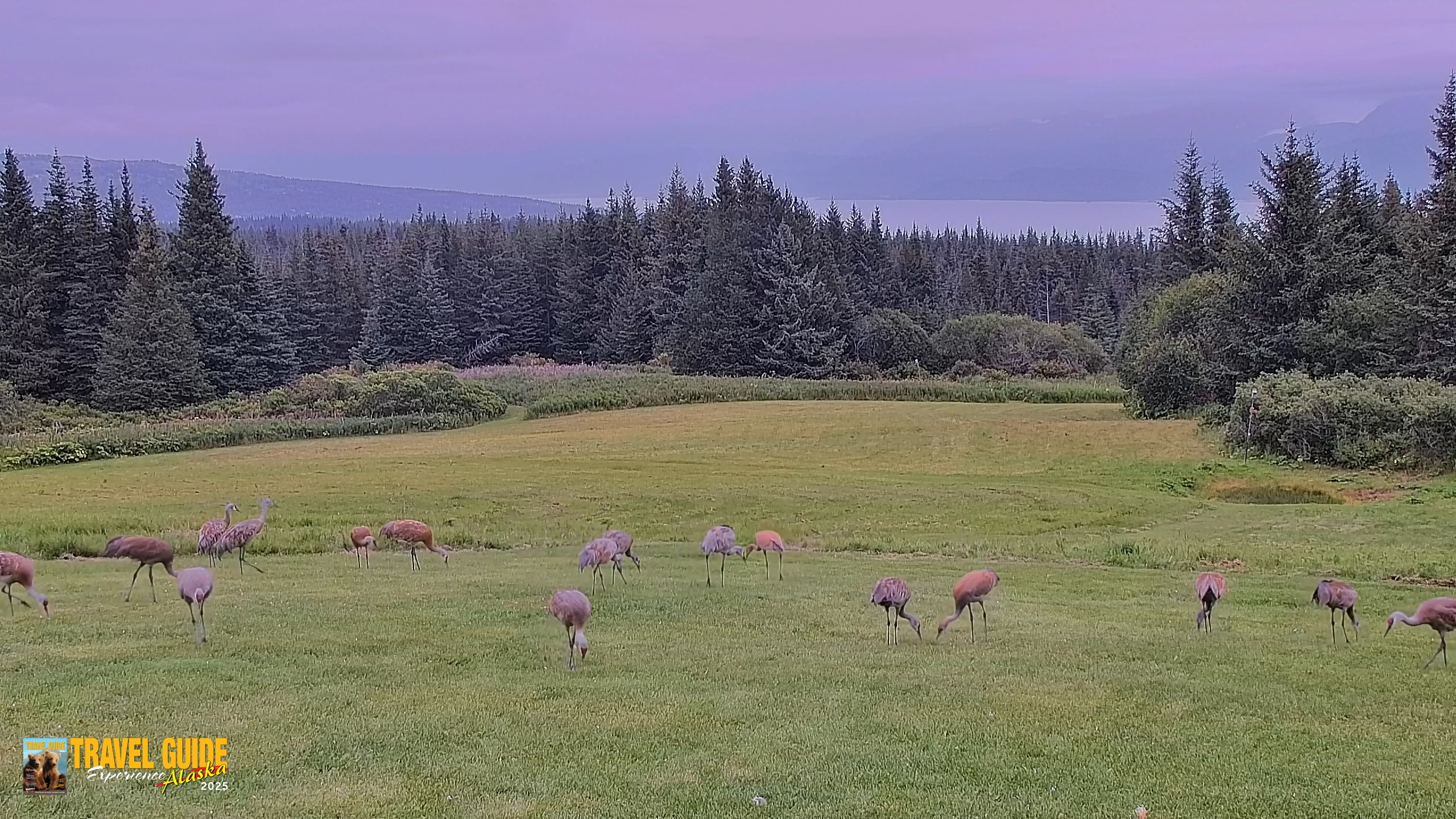 Snapshot of Inspiration Ridge - Homer Alaska Live Webcam taken Aug 24, 2026, 5:03pm AKDT