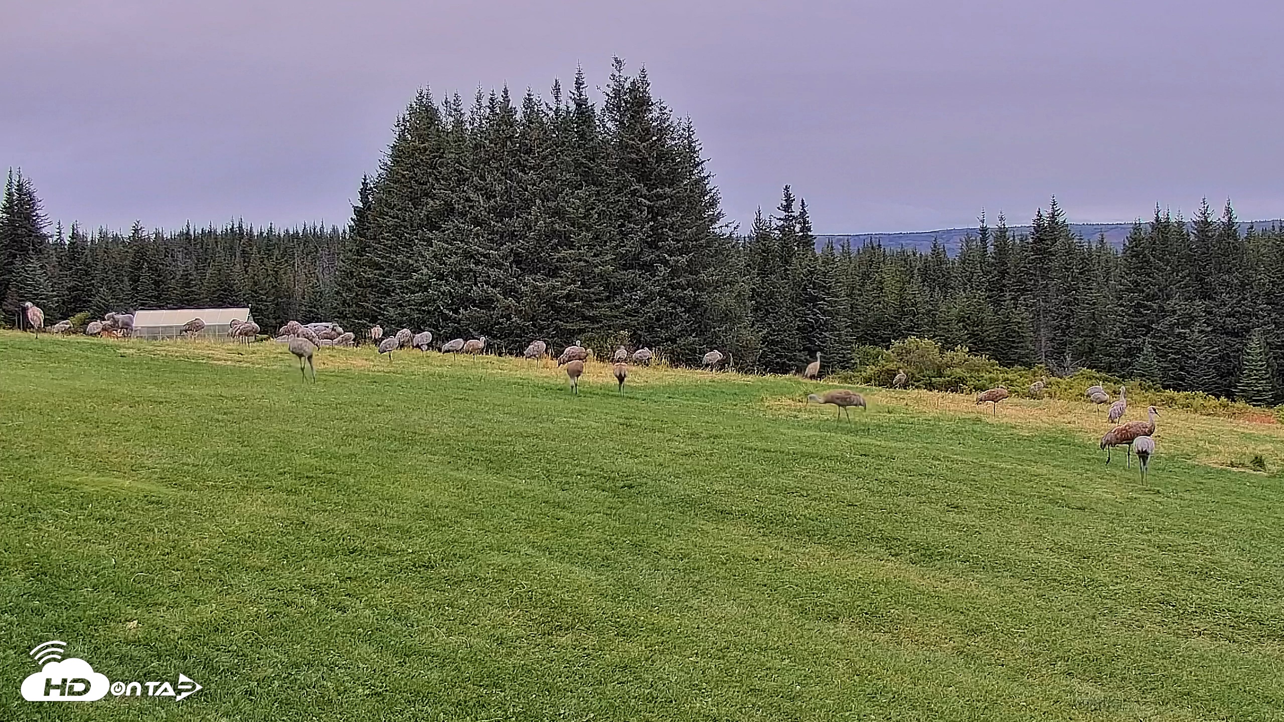 Snapshot of Inspiration Ridge - Homer Alaska Live Webcam taken Sep 4, 2025, 5:44pm AKDT