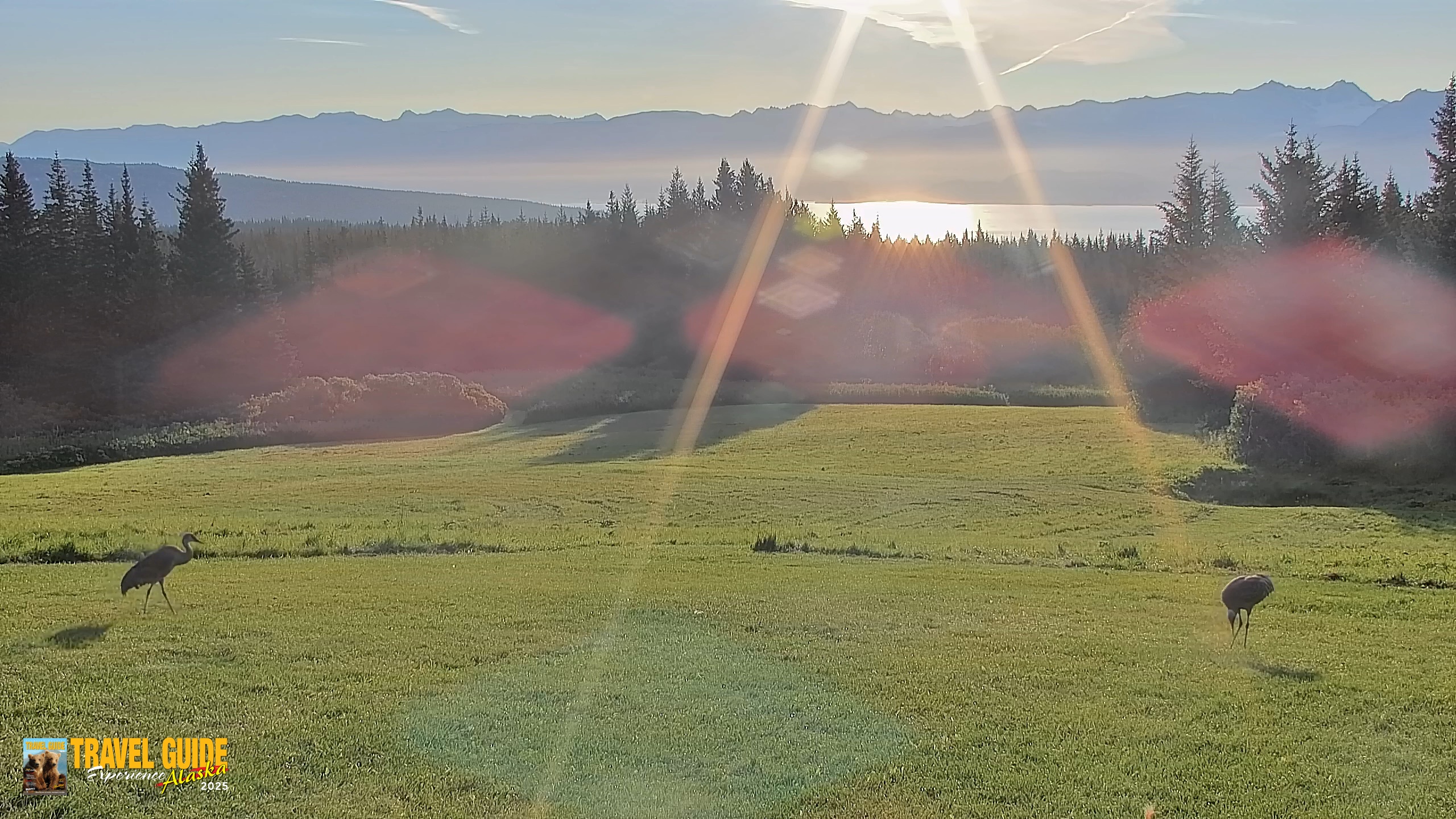 Snapshot of Inspiration Ridge - Homer Alaska Live Webcam taken Aug 27, 2026, 7:57am AKDT