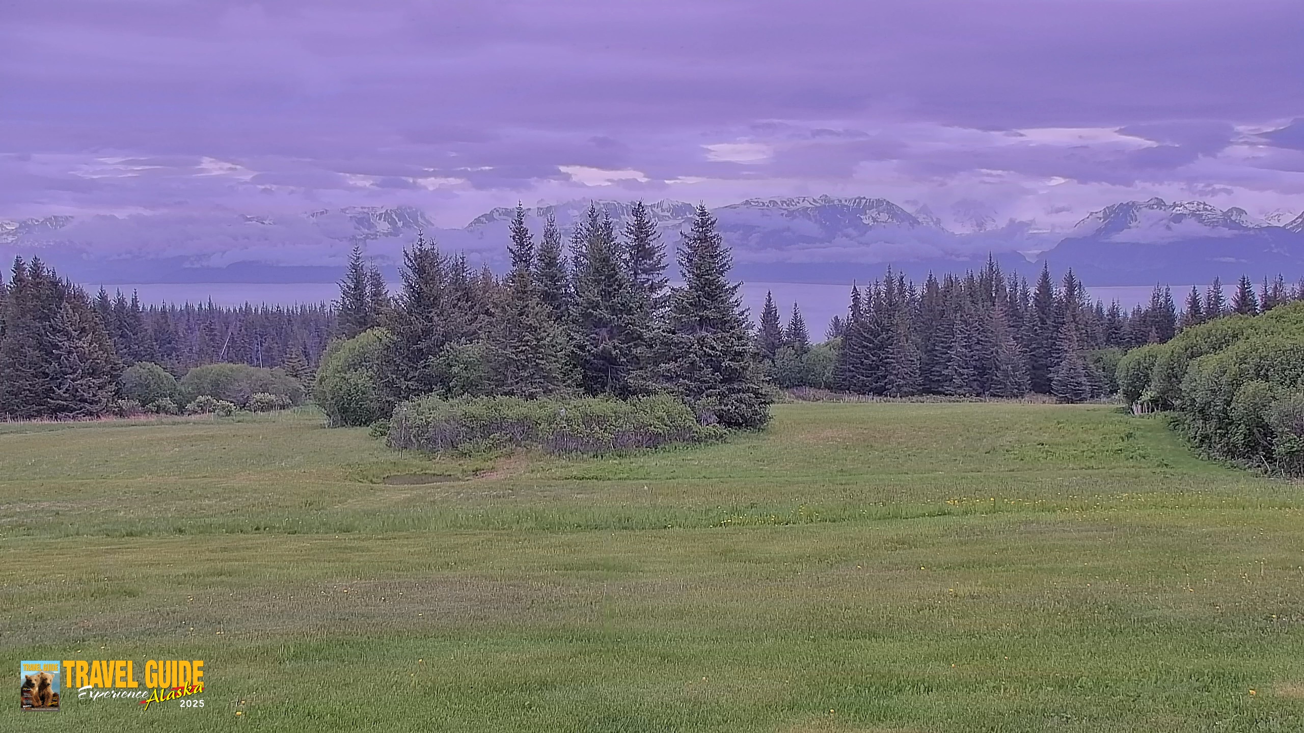 Snapshot of Inspiration Ridge - Homer Alaska Live Webcam taken Jun 21, 2026, 2:31pm AKDT