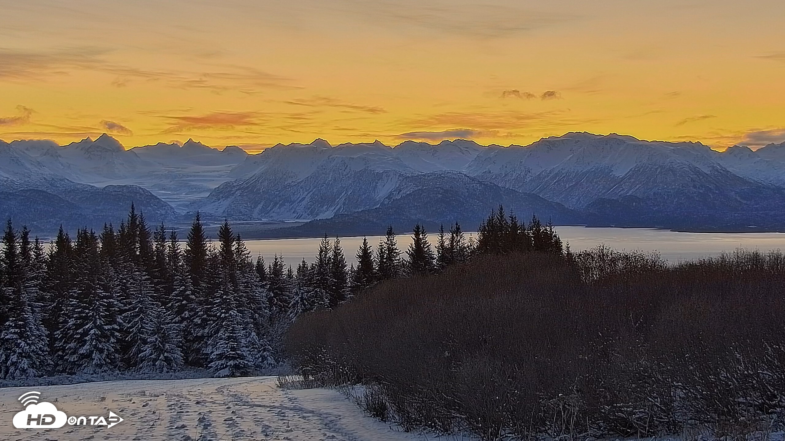 Snapshot of Inspiration Ridge - Homer Alaska Live Webcam taken Nov 24, 2025, 8:50am AKST