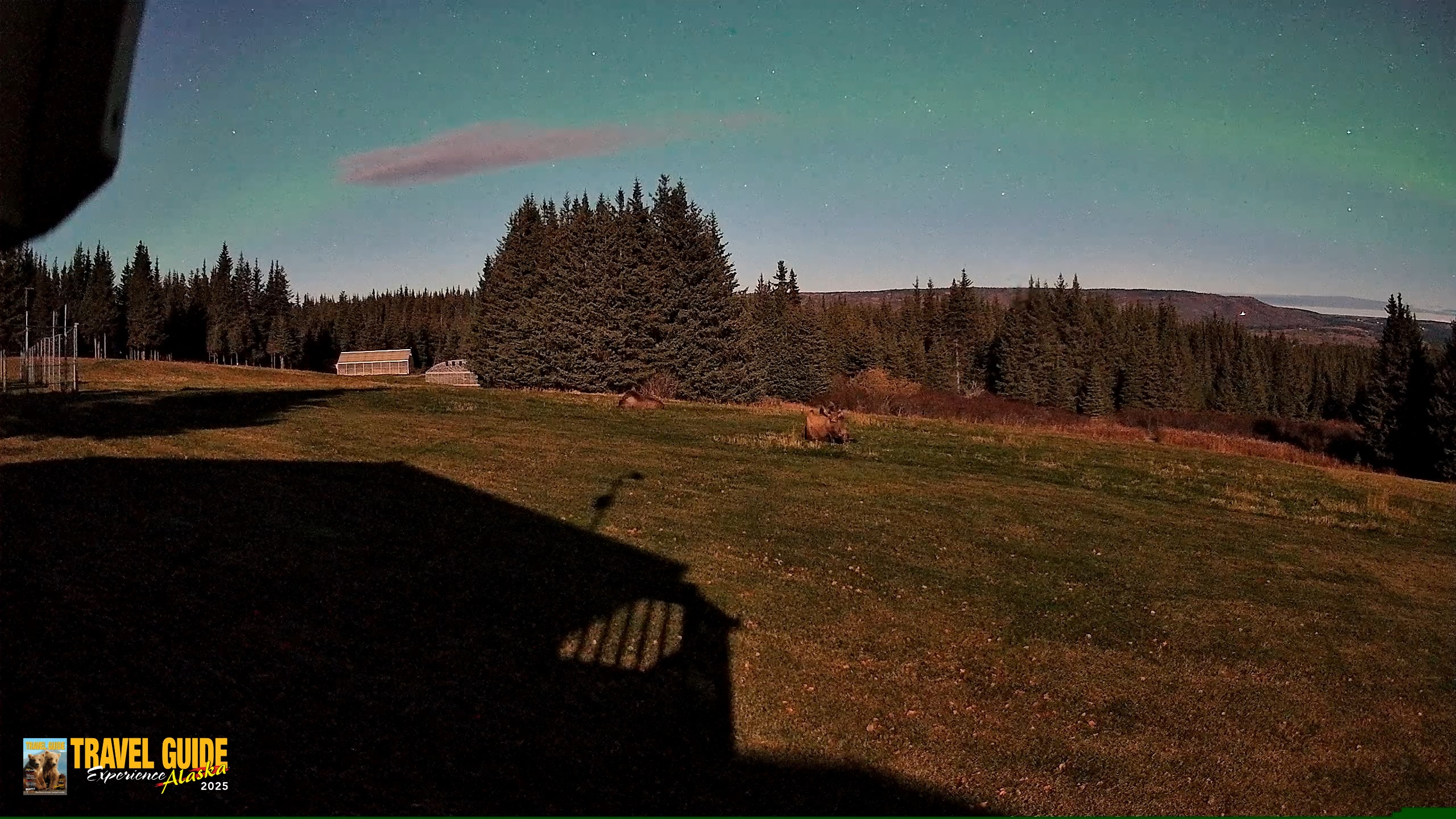 Snapshot of Inspiration Ridge - Homer Alaska Live Webcam taken Oct 21, 2026, 11:04pm AKDT