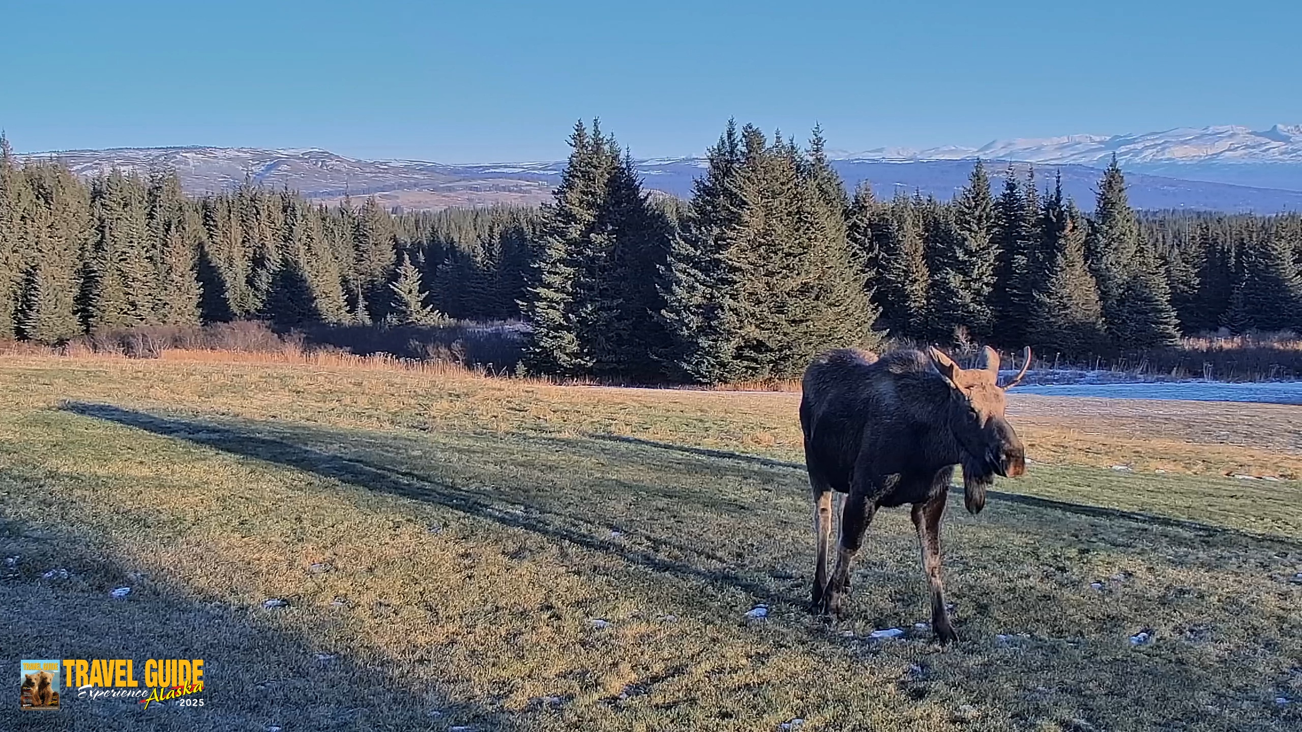 Snapshot of Inspiration Ridge - Homer Alaska Live Webcam taken Dec 23, 2025, 1:30pm AKST