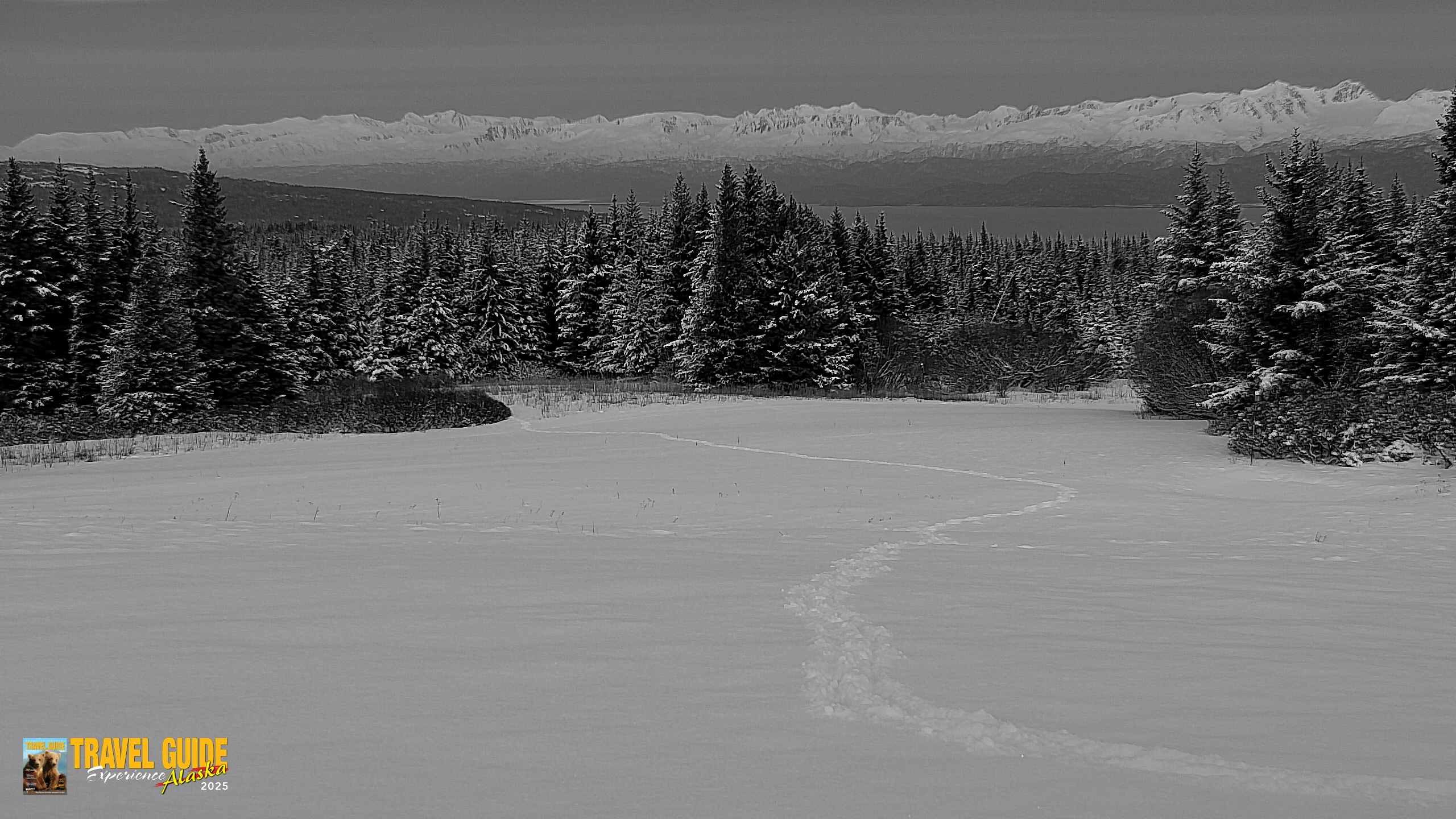 Snapshot of Inspiration Ridge - Homer Alaska Live Webcam taken Feb 13, 2026, 6:17pm AKST