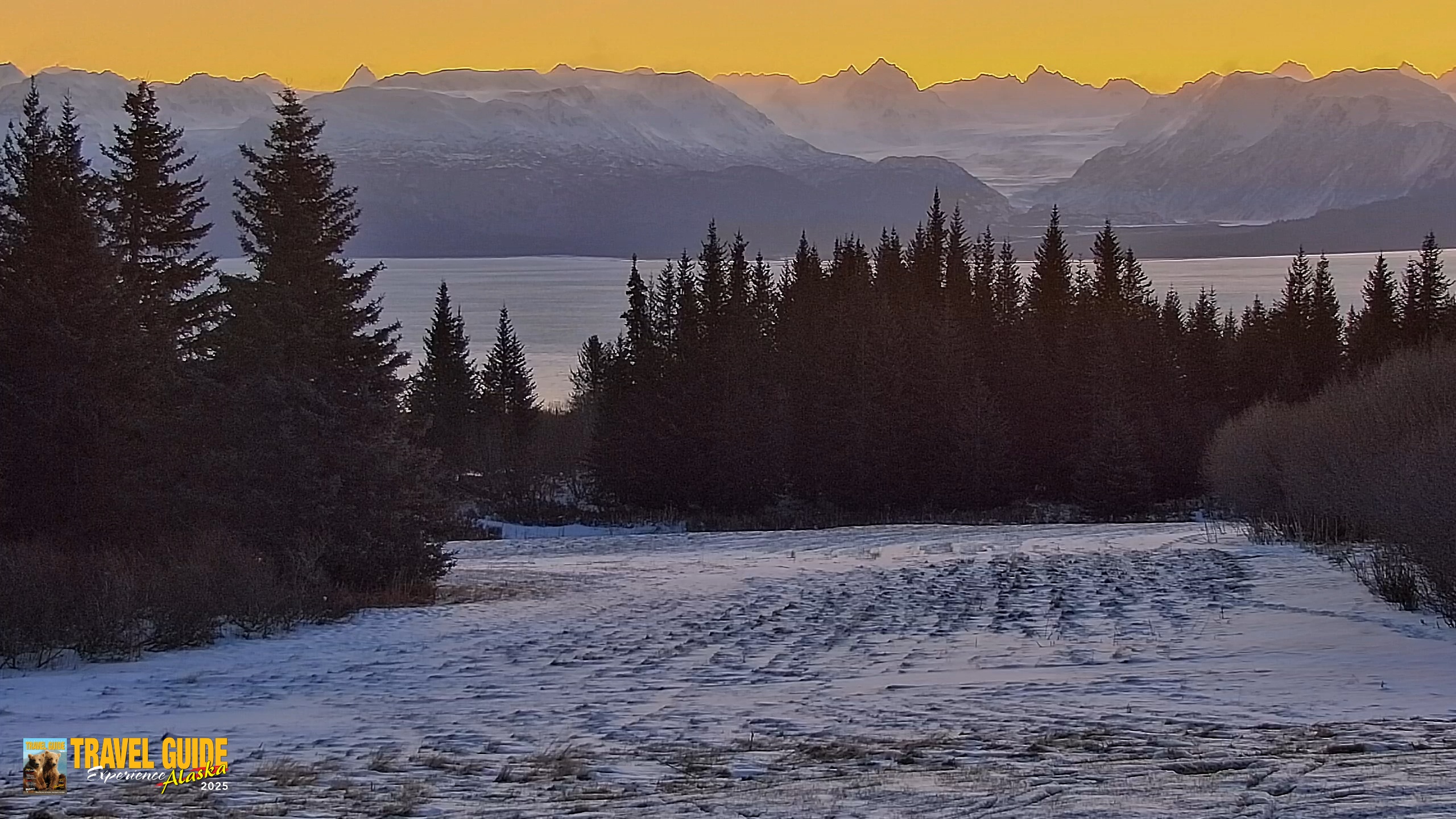 Snapshot of Inspiration Ridge - Homer Alaska Live Webcam taken Dec 31, 2025, 10:55am AKST