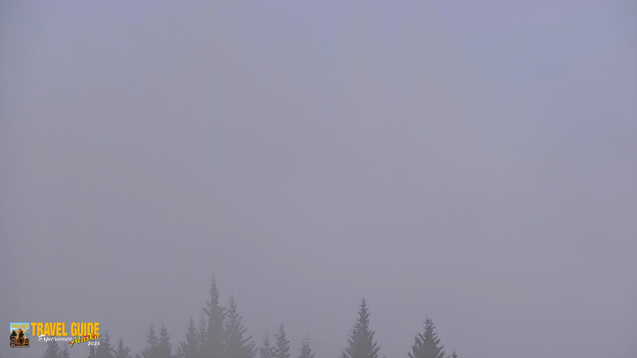 Snapshot of Inspiration Ridge - Homer Alaska Live Webcam taken Jun 7, 2026, 8:59pm AKDT