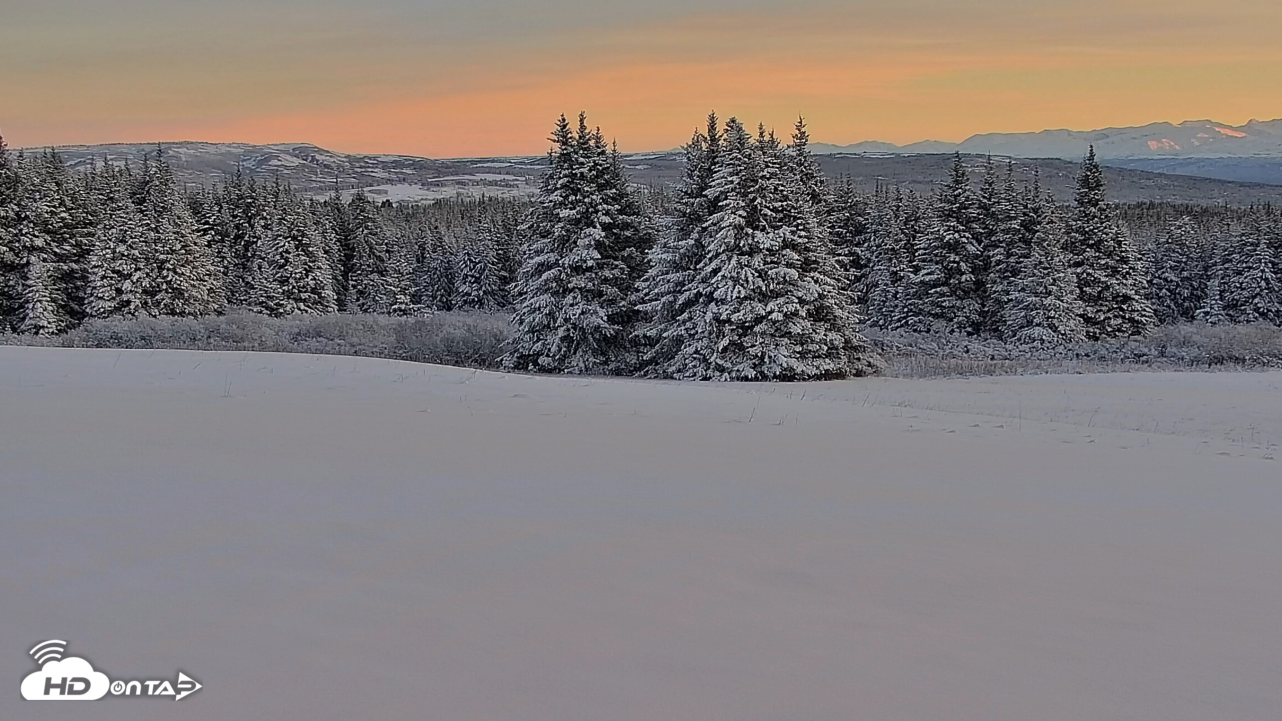 Snapshot of Inspiration Ridge - Homer Alaska Live Webcam taken Nov 22, 2025, 10:02am AKST
