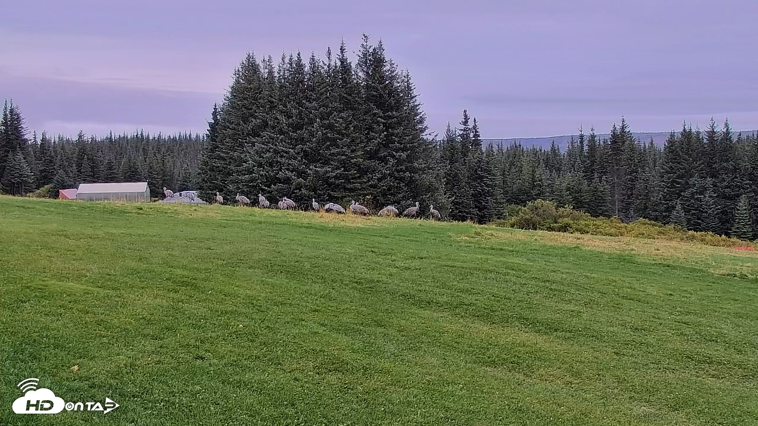 Snapshot of Inspiration Ridge - Homer Alaska Live Webcam taken Sep 11, 2025, 8:48am AKDT