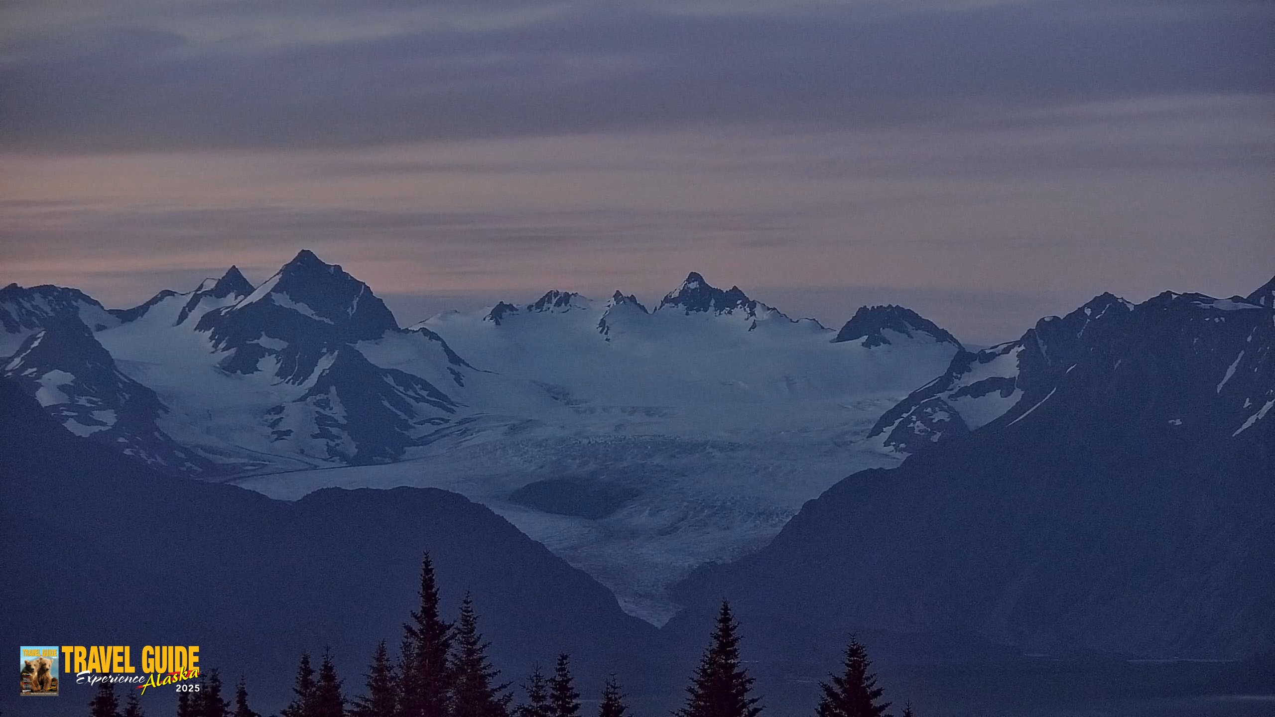 Snapshot of Inspiration Ridge - Homer Alaska Live Webcam taken Jul 29, 2026, 4:53am AKDT