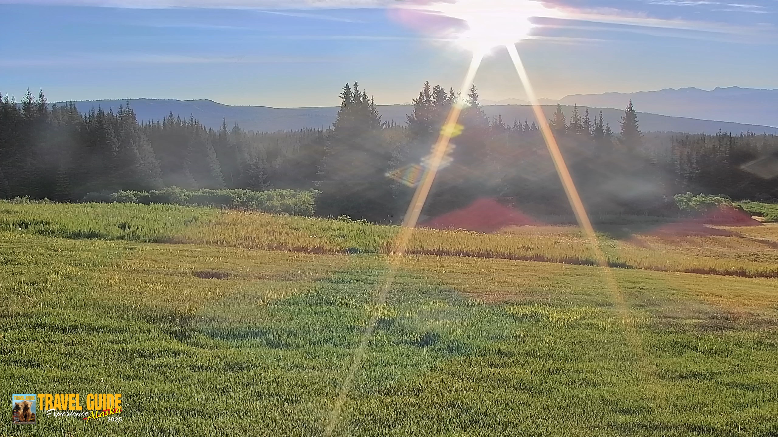 Snapshot of Inspiration Ridge - Homer Alaska Live Webcam taken Jul 1, 2026, 6:14am AKDT