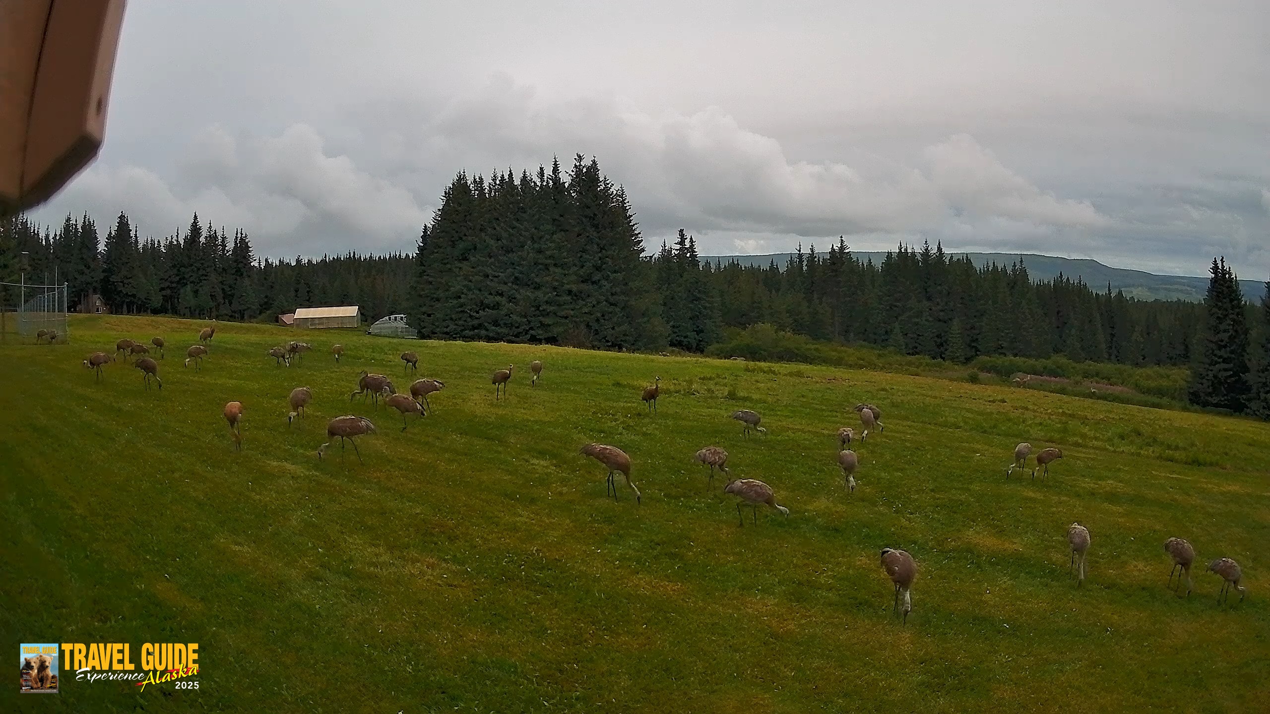 Snapshot of Inspiration Ridge - Homer Alaska Live Webcam taken Aug 22, 2026, 8:24pm AKDT