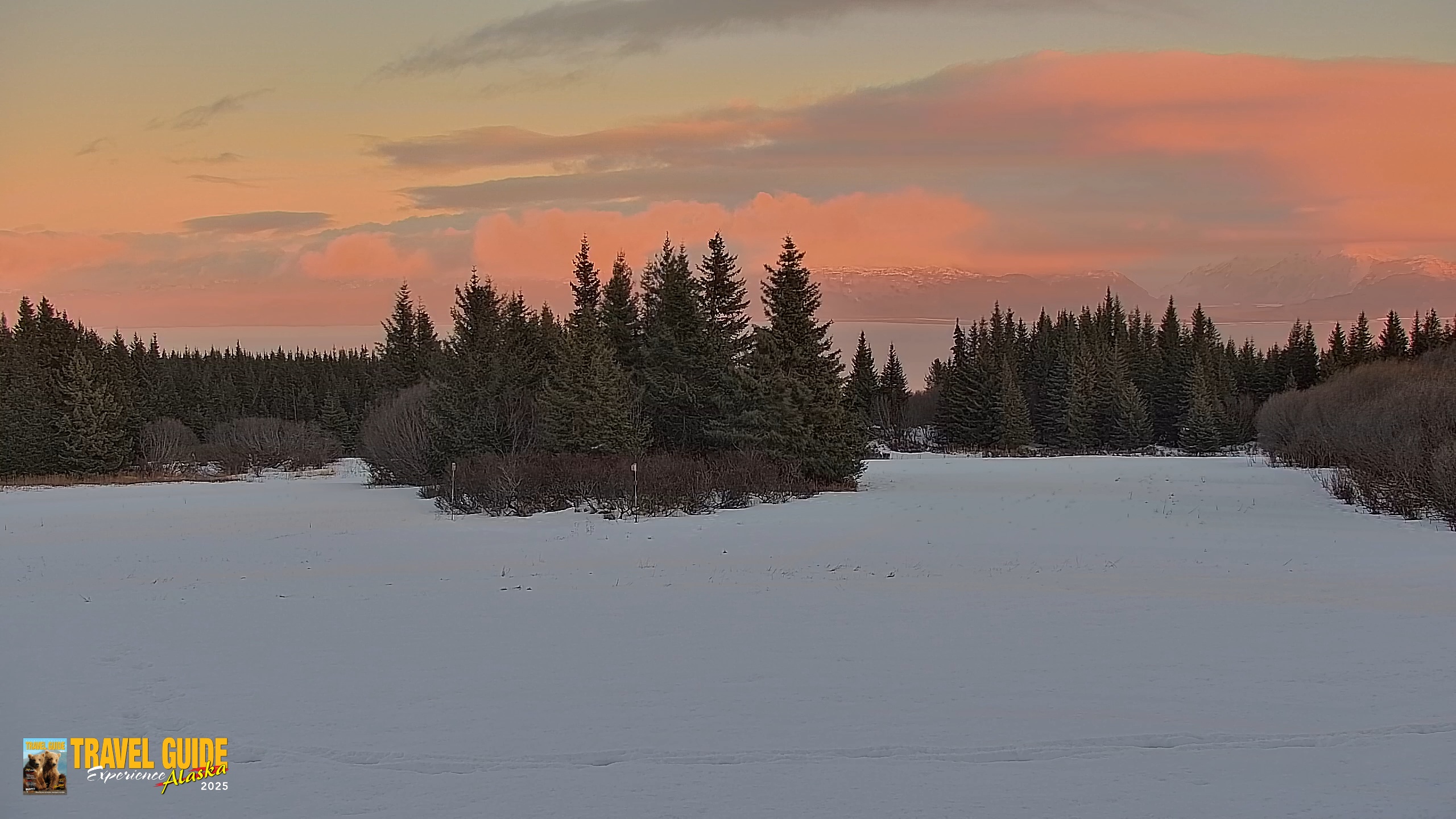 Snapshot of Inspiration Ridge - Homer Alaska Live Webcam taken Feb 14, 2026, 5:46pm AKST