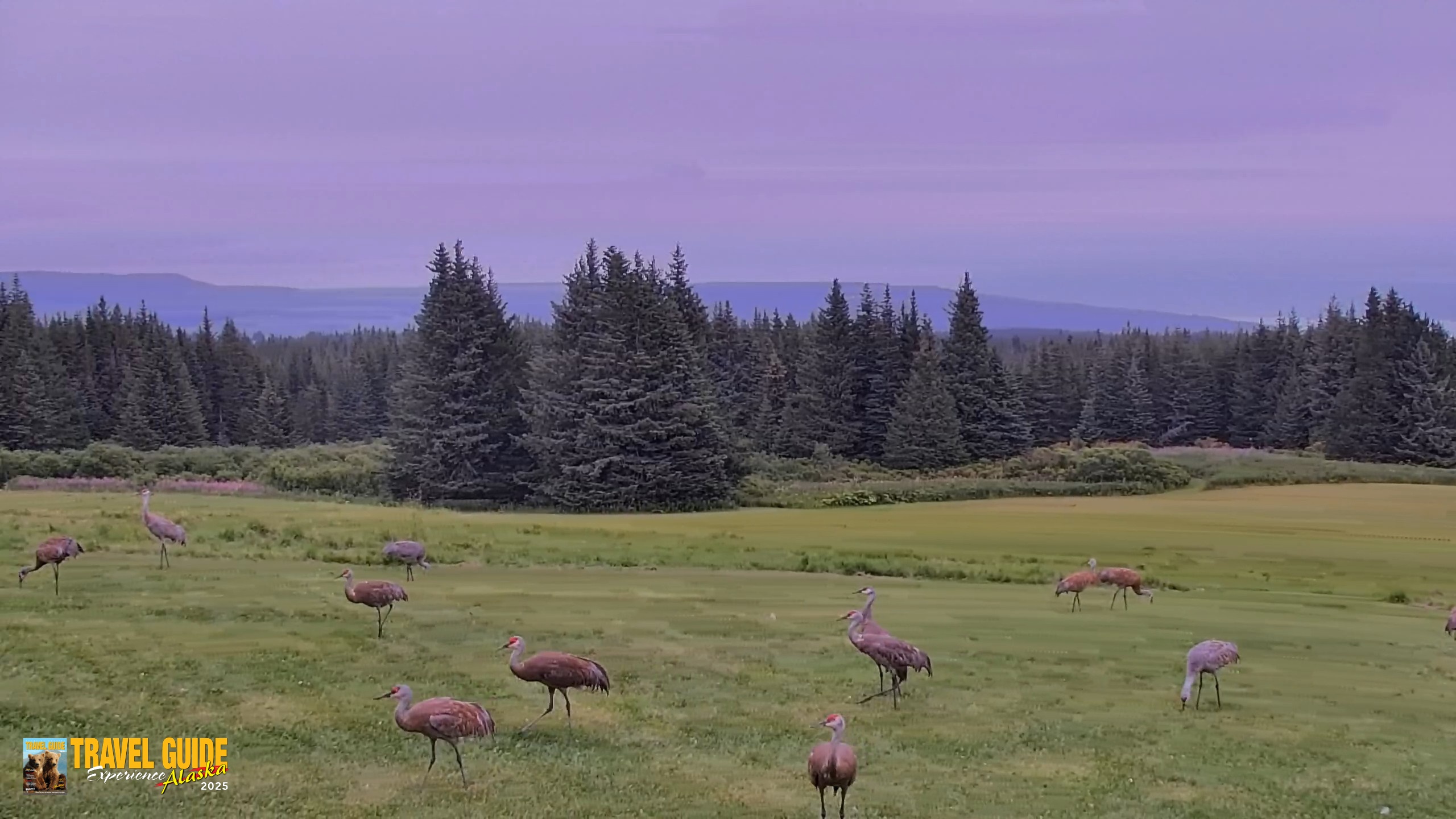 Snapshot of Inspiration Ridge - Homer Alaska Live Webcam taken Aug 24, 2026, 5:10pm AKDT