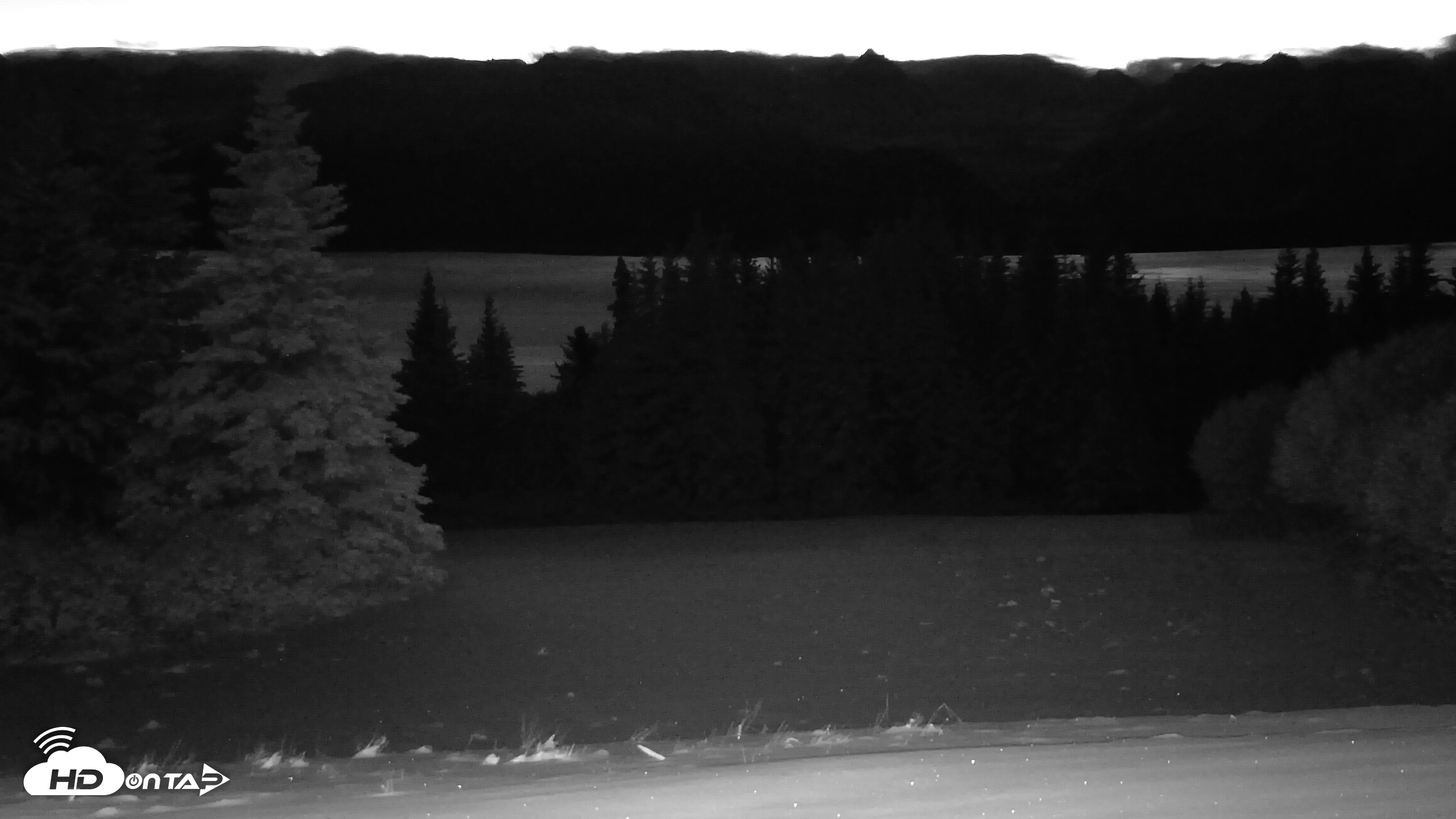 Snapshot of Inspiration Ridge - Homer Alaska Live Webcam taken Nov 22, 2025, 7:49am AKST