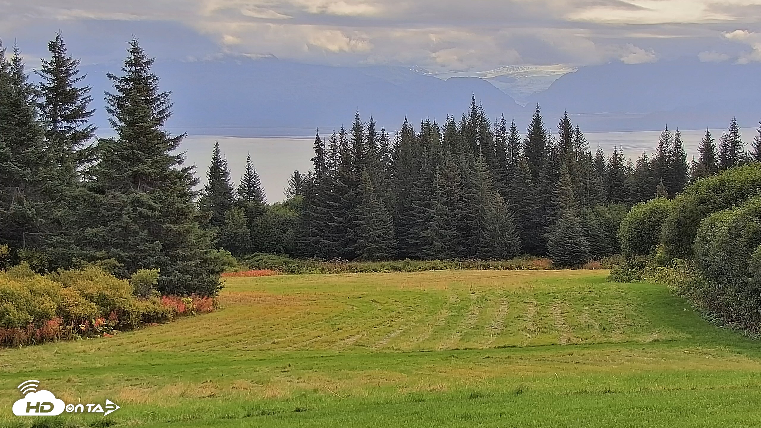 Snapshot of Inspiration Ridge - Homer Alaska Live Webcam taken Sep 13, 2025, 11:57am AKDT