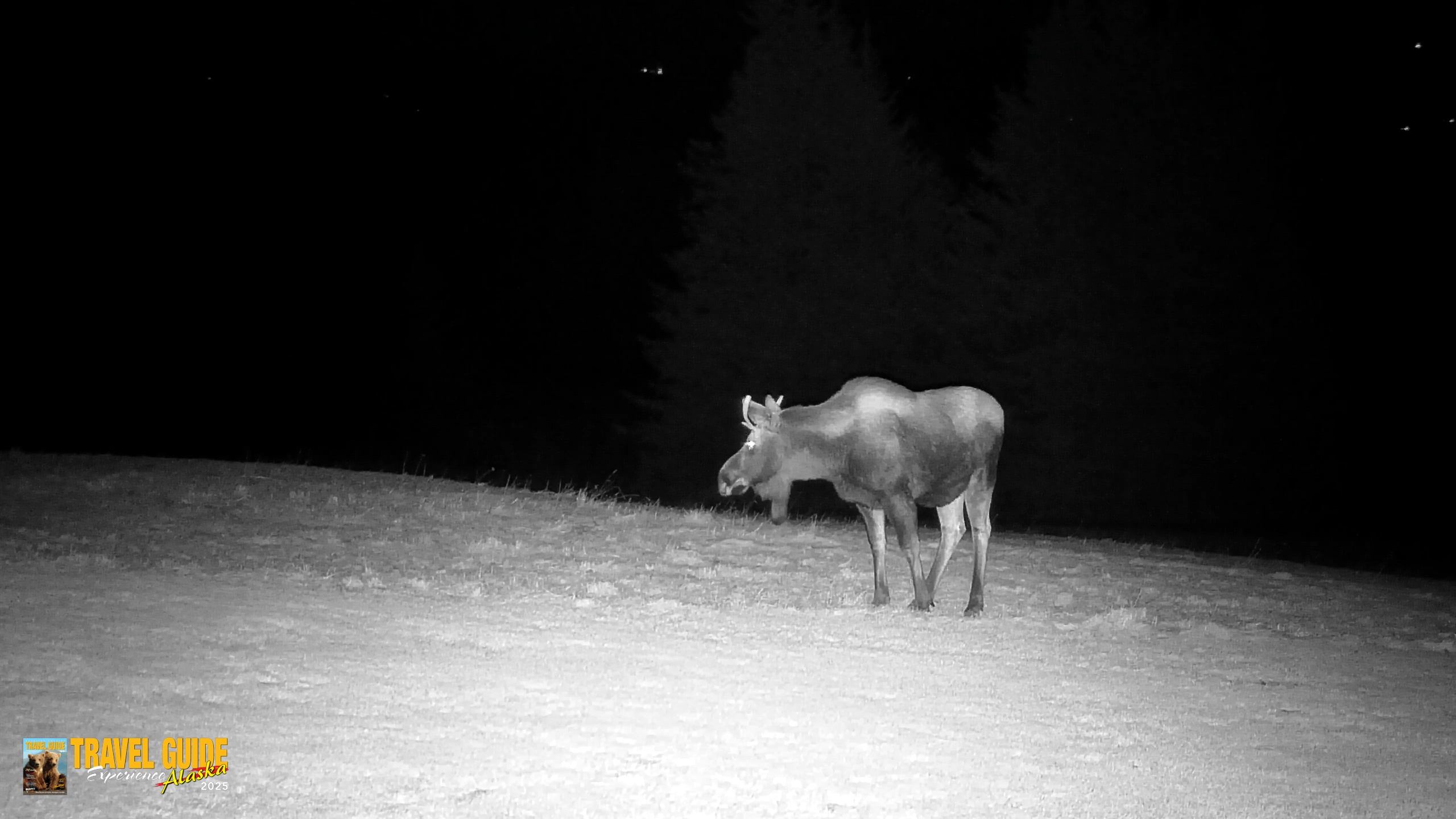 Snapshot of Inspiration Ridge - Homer Alaska Live Webcam taken Dec 22, 2025, 10:01pm AKST
