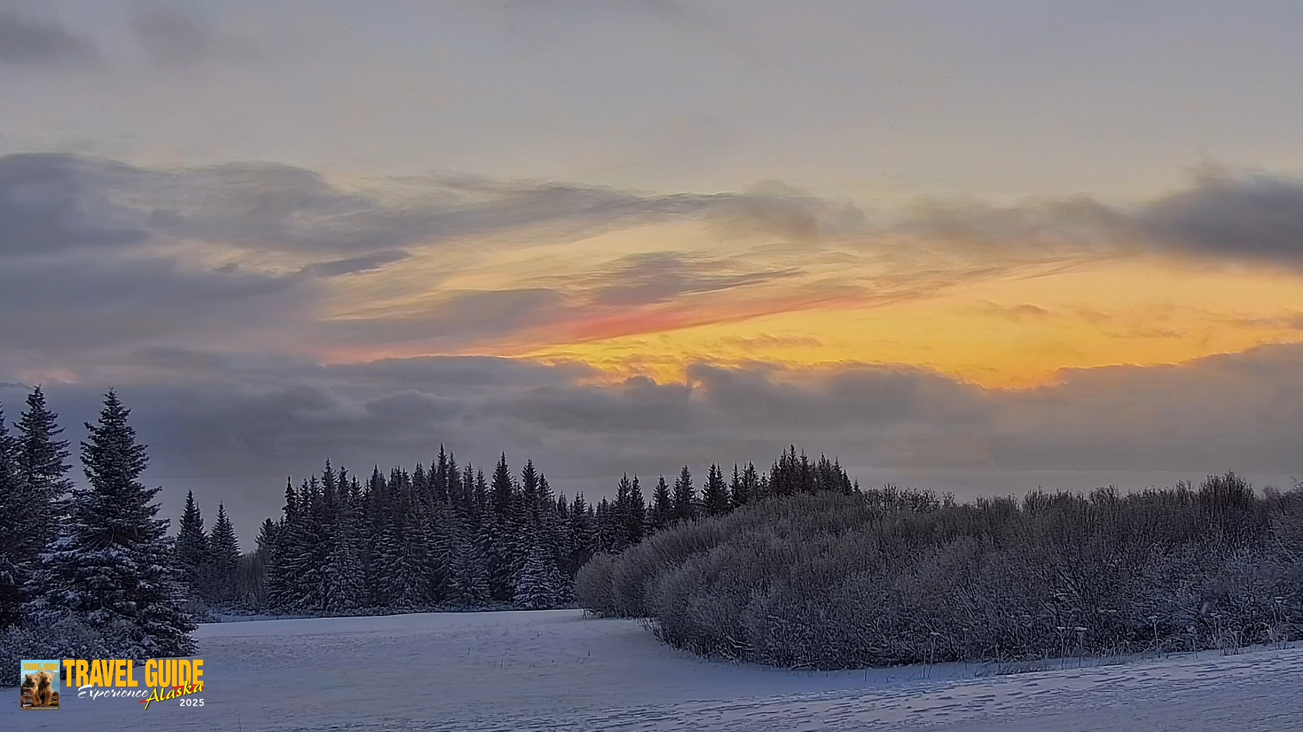Snapshot of Inspiration Ridge - Homer Alaska Live Webcam taken Jan 14, 2026, 9:25am AKST